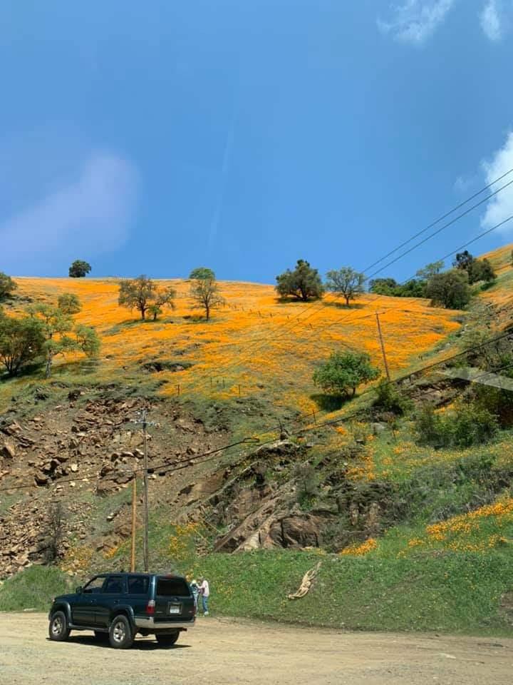 0 Electra Road Jackson, CA 95642 - Photo 48 of 51 a view of an ocean