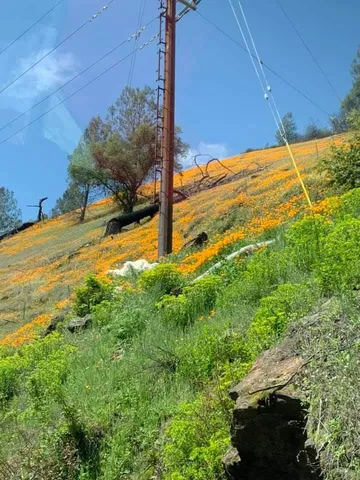 $199,000 | 0 Electra Road, Jackson, CA 95642