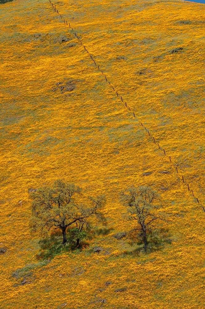 0 Electra Road Jackson, CA 95642 - Photo 51 of 51 a view of an ocean