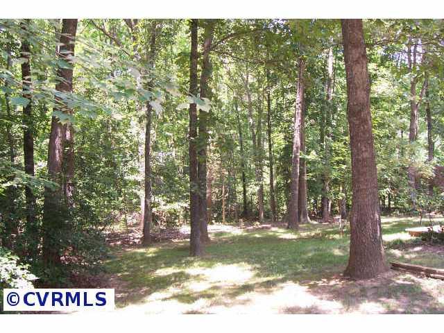 3303 John Tree Hill Road Powhatan, VA 23139 - Photo 8 of 10 Other