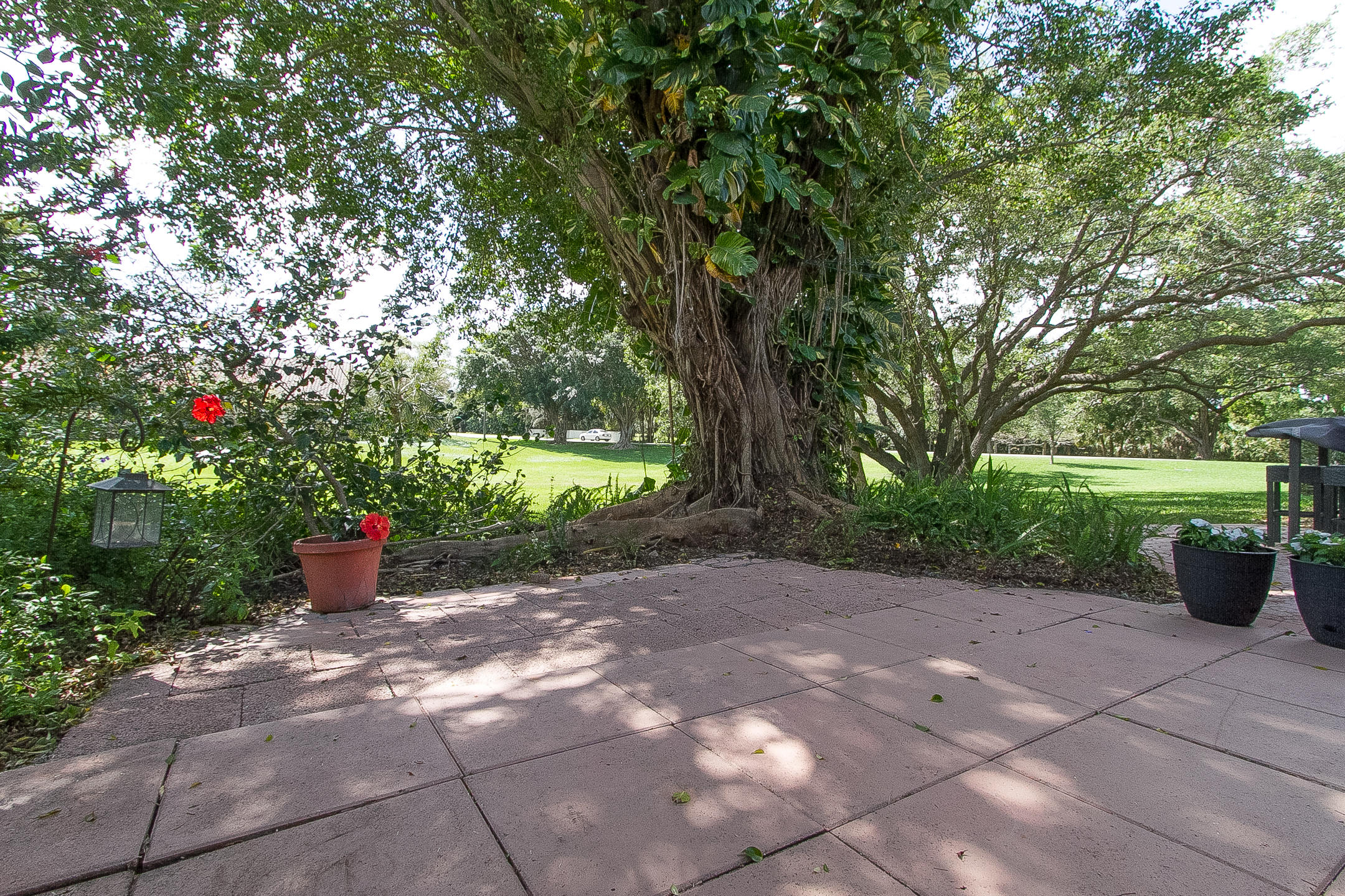 454 Ashwood Place Boca Raton, FL 33431 - Photo 30 of 30 a view of a garden with potted plants