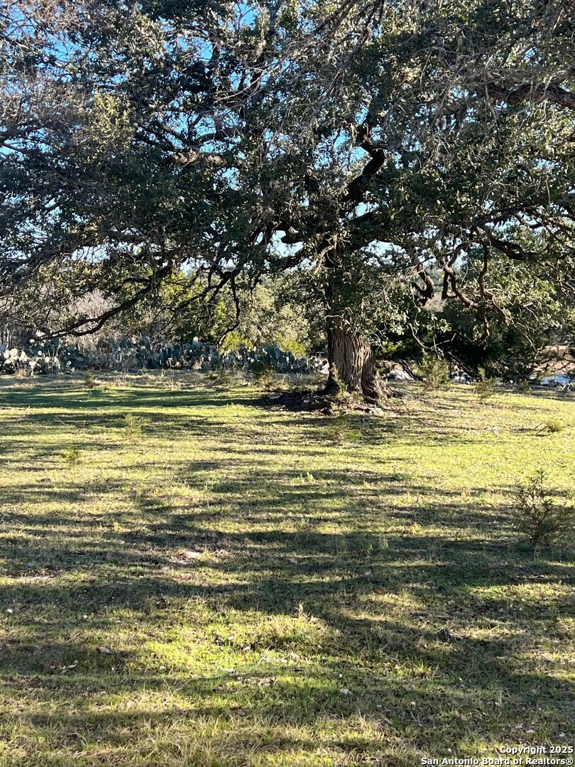 82 Swede Springs Boerne, TX 78006 - Photo 12 of 17 a view of a ocean view