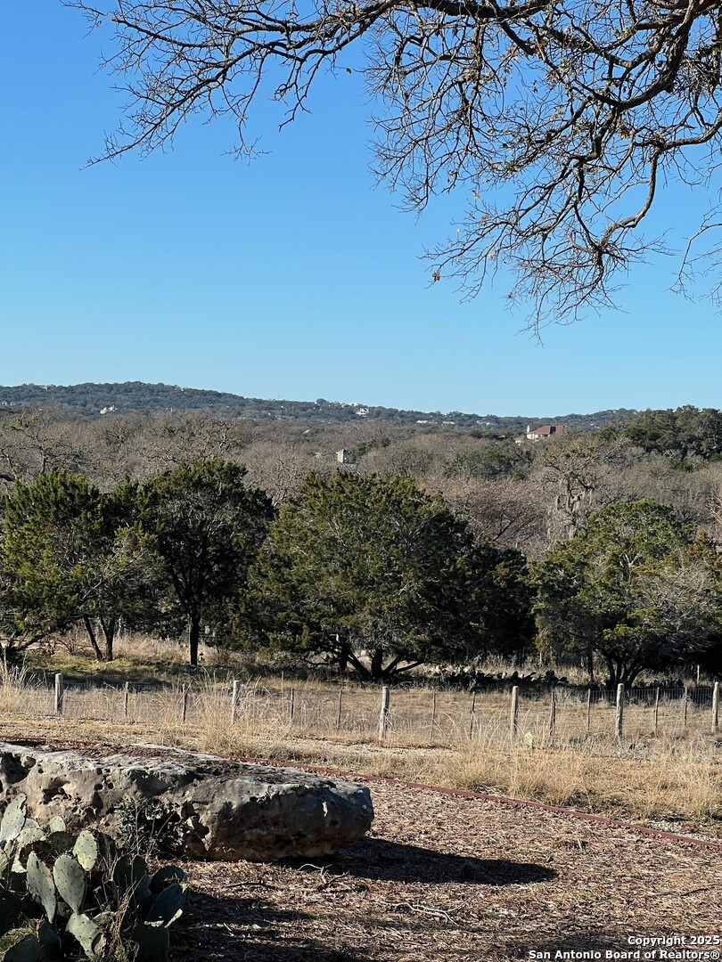 82 Swede Springs Boerne, TX 78006 - Photo 13 of 17 a view of a yard