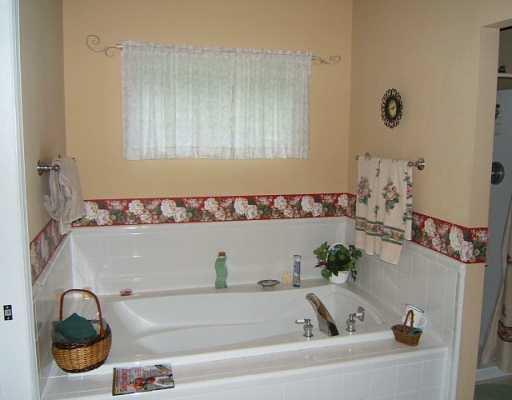 301 Ridge Road Valencia, PA 16059 - Photo 5 of 8 Master Bath/Spa.