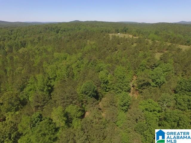 82-acres Creed Road, Unit 82 ACRES Lineville, AL 36266 - Photo 20 of 20