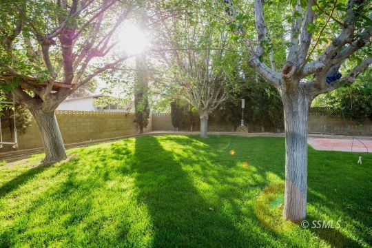 1025 Scott Street Ridgecrest, CA 93555 - Photo 26 of 29 a view of yard with green space