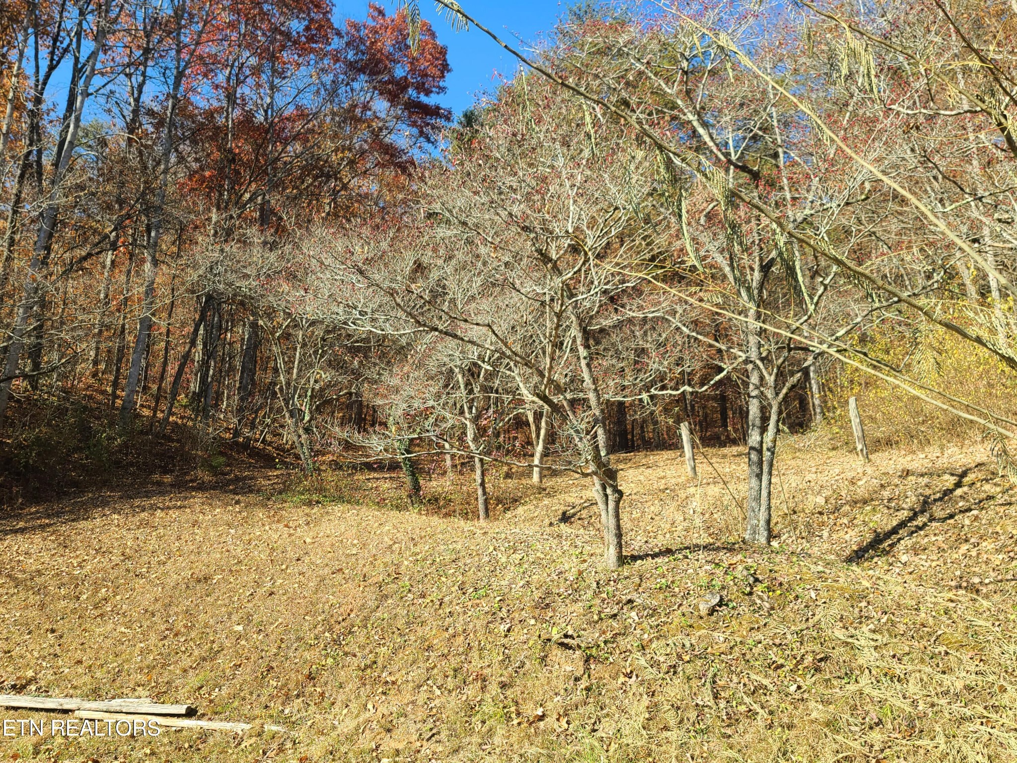 666 Butler Mill Road Maryville, TN 37803 - Photo 54 of 54 Gallery Image 54