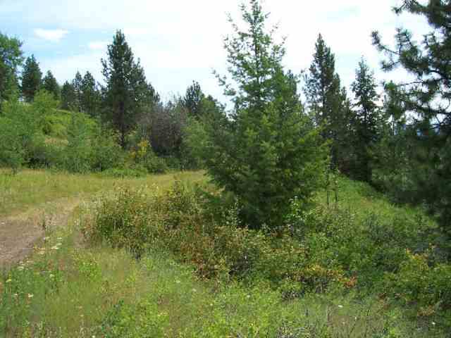 Tbd Lt A Old Dominion Road Colville, WA 99114 - Photo 1 of 5 Gallery Image 1