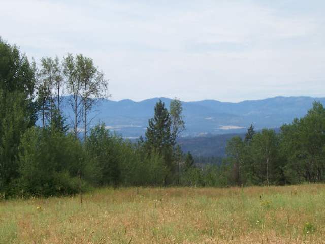 Tbd Lt A Old Dominion Road Colville, WA 99114 - Photo 2 of 5 Gallery Image 2