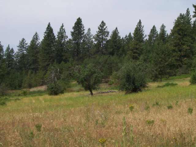 Tbd Lt A Old Dominion Road Colville, WA 99114 - Photo 3 of 5 Gallery Image 3