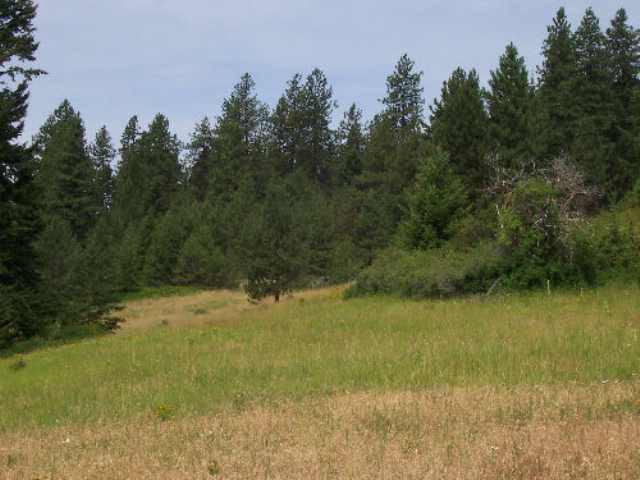 Tbd Lt A Old Dominion Road Colville, WA 99114 - Photo 4 of 5 Gallery Image 4