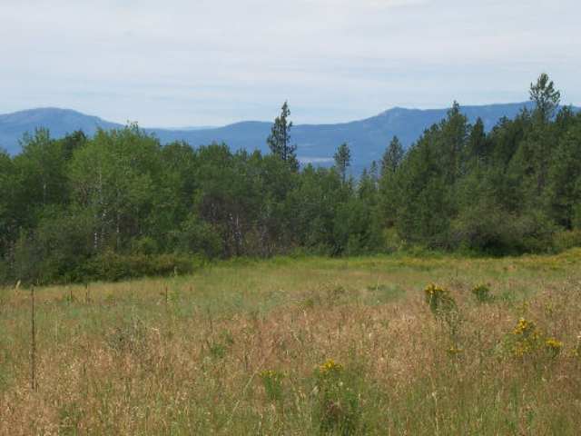 Tbd Lt A Old Dominion Road Colville, WA 99114 - Photo 5 of 5 Gallery Image 5
