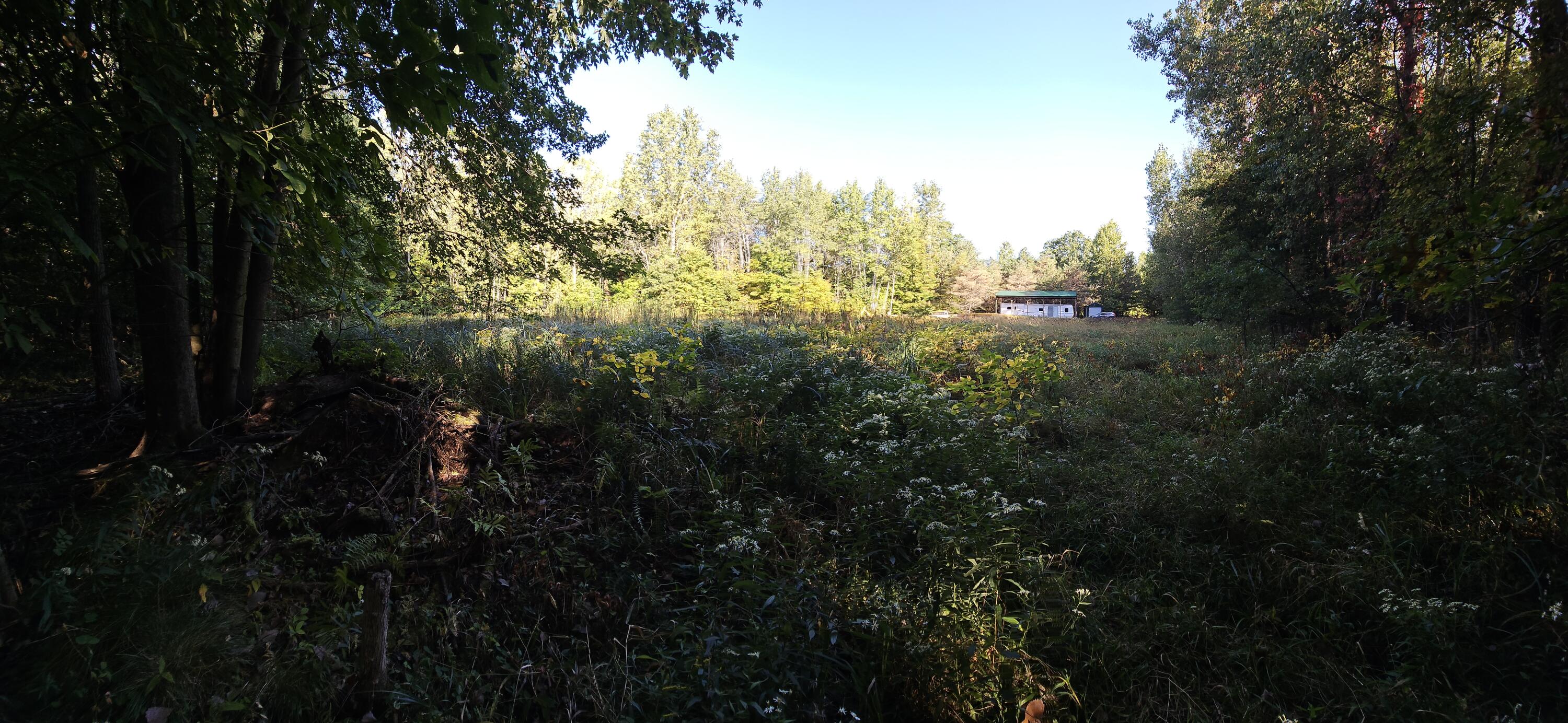1 Peet Road Elsie, MI 48831 - Photo 20 of 25 20250917_101204