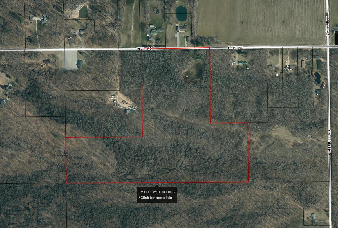 1 Peet Road Elsie, MI 48831 - Photo 24 of 25 Aerial view