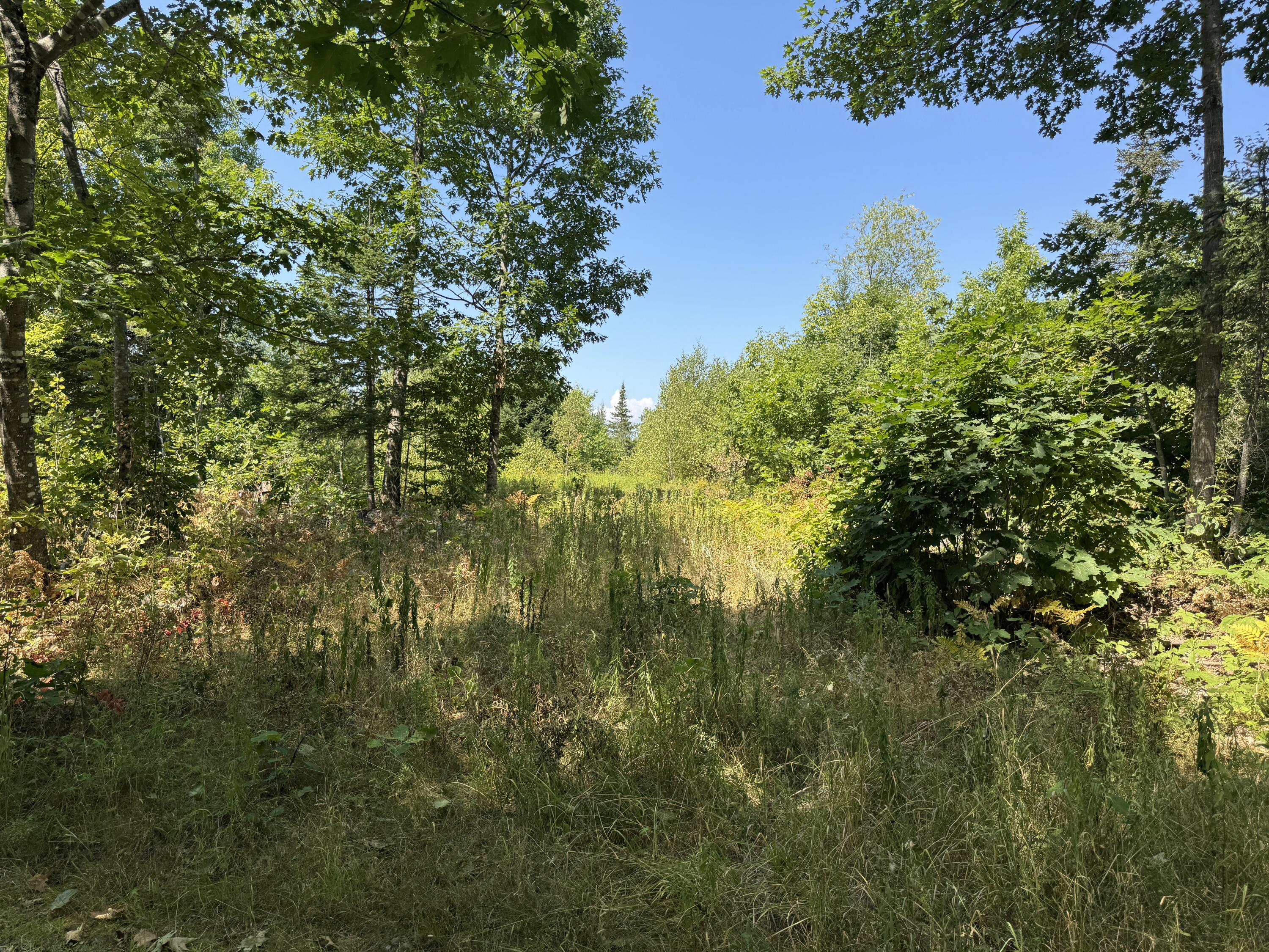 0 Jackman Corner Road Sangerville, ME 04479 - Photo 2 of 15 IMG_8362
