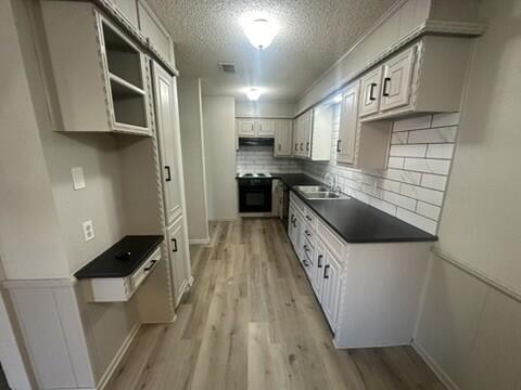 3209 66th Street, Unit A Lubbock, TX 79413 - Photo 6 of 10 a kitchen with stainless steel appliances a stove a microwave a sink and cabinets