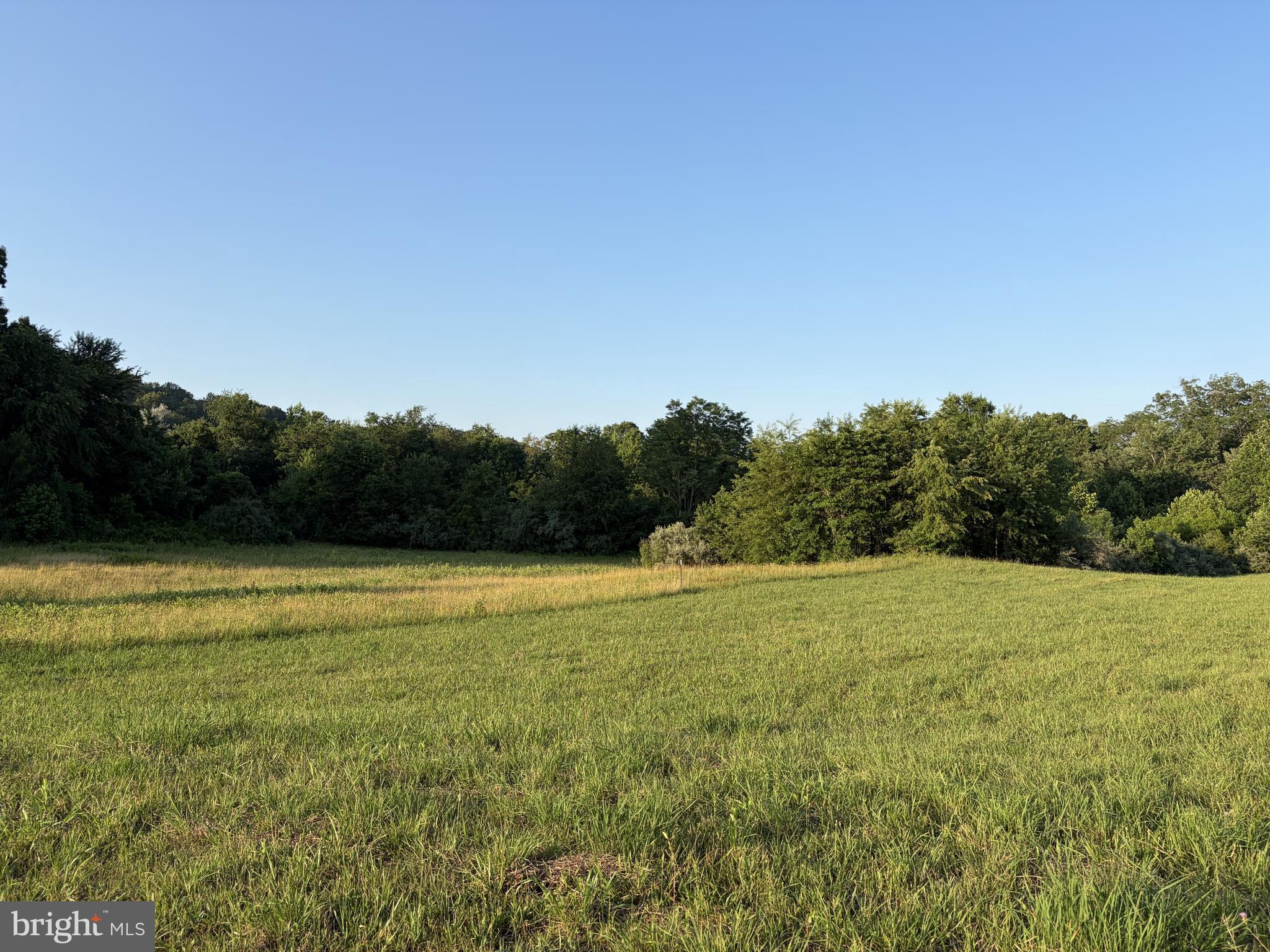 Bank Road Washington, VA 22747 - Photo 10 of 13 view from entrance towards back of property
