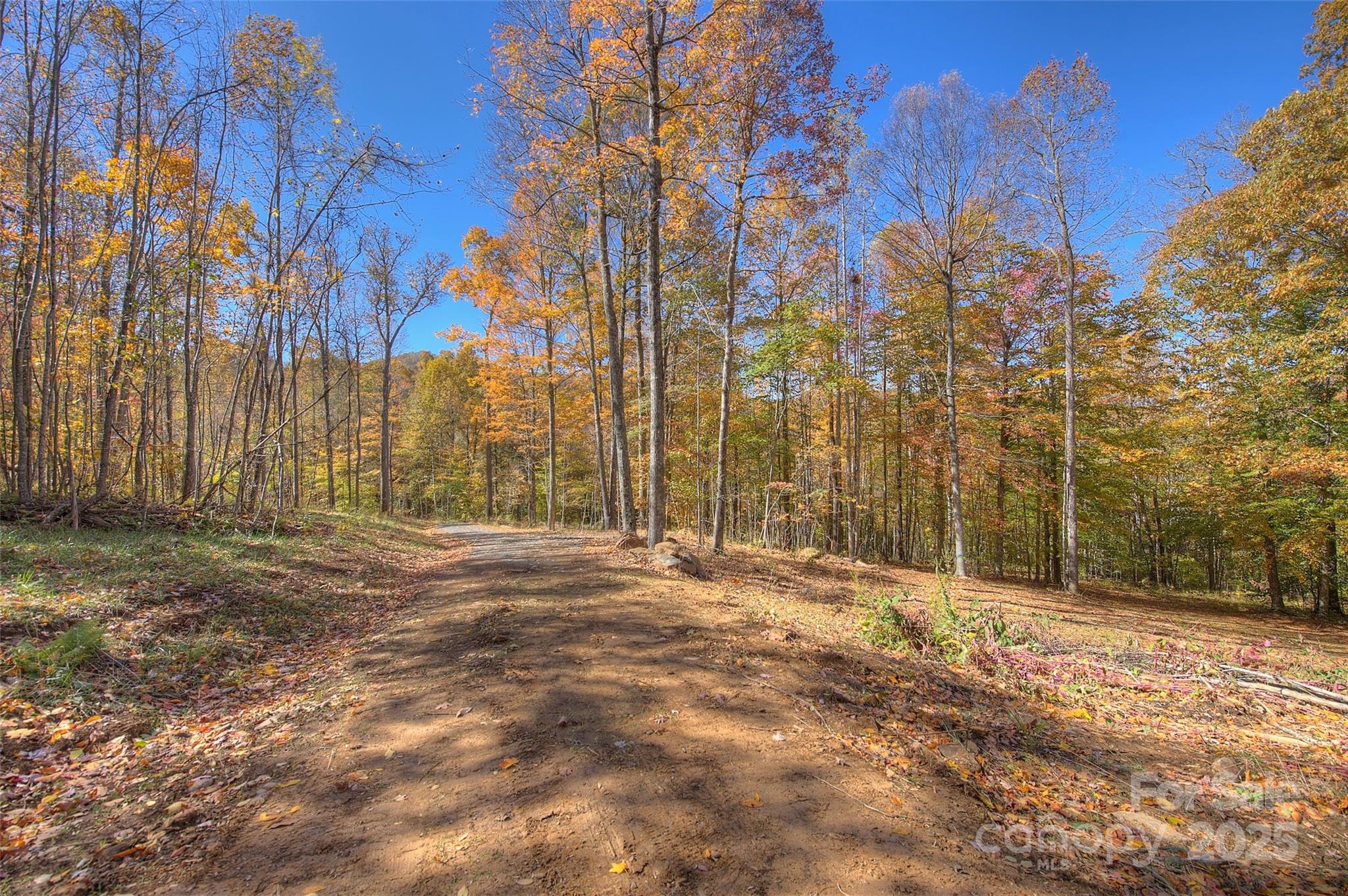 0 Pebble Ridge Road Spruce Pine, NC 28777 - Photo 3 of 26 a backyard of a house with large trees