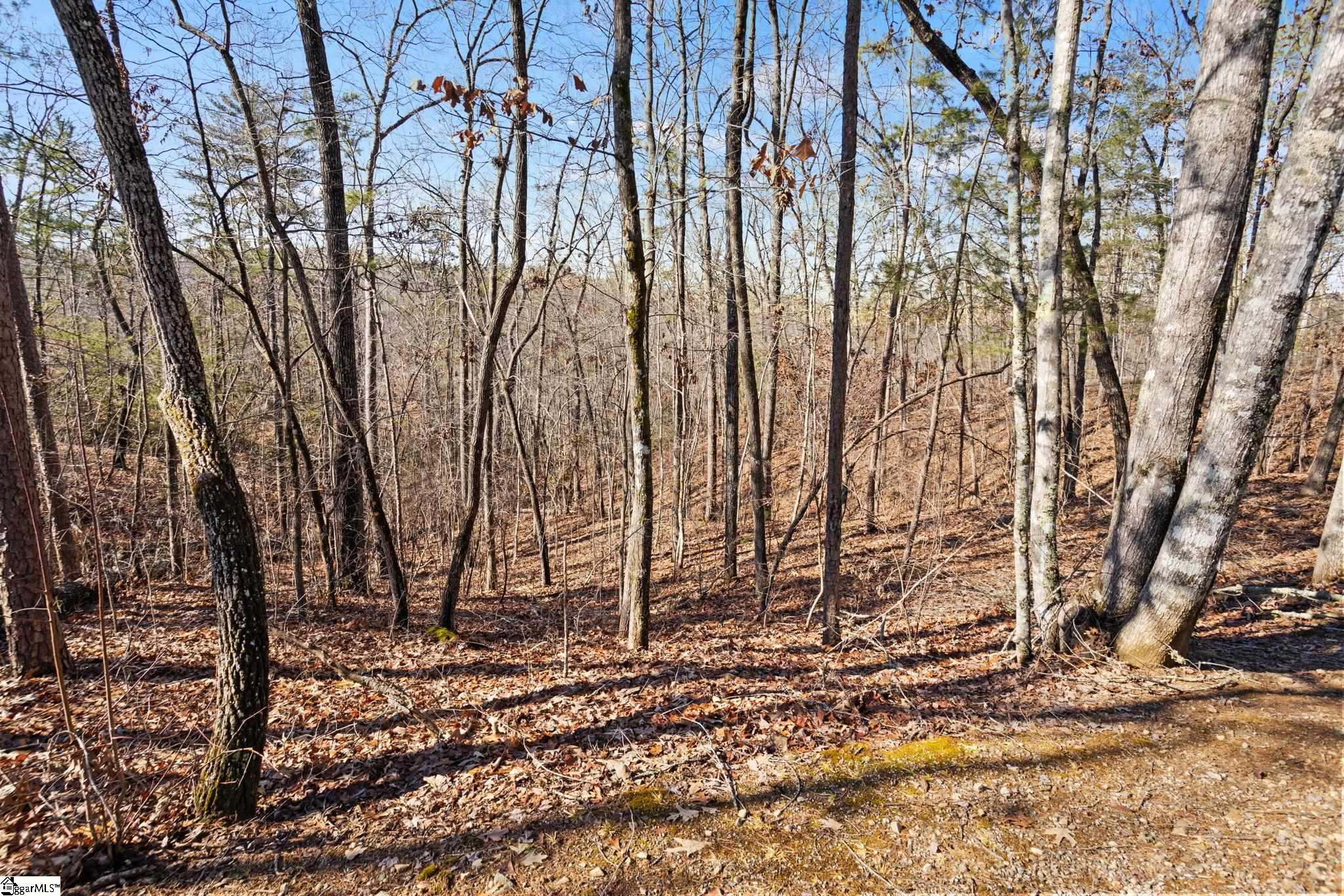 240 Jocassee Point Road Salem, SC 29676 - Photo 2 of 38 Gallery Image 2
