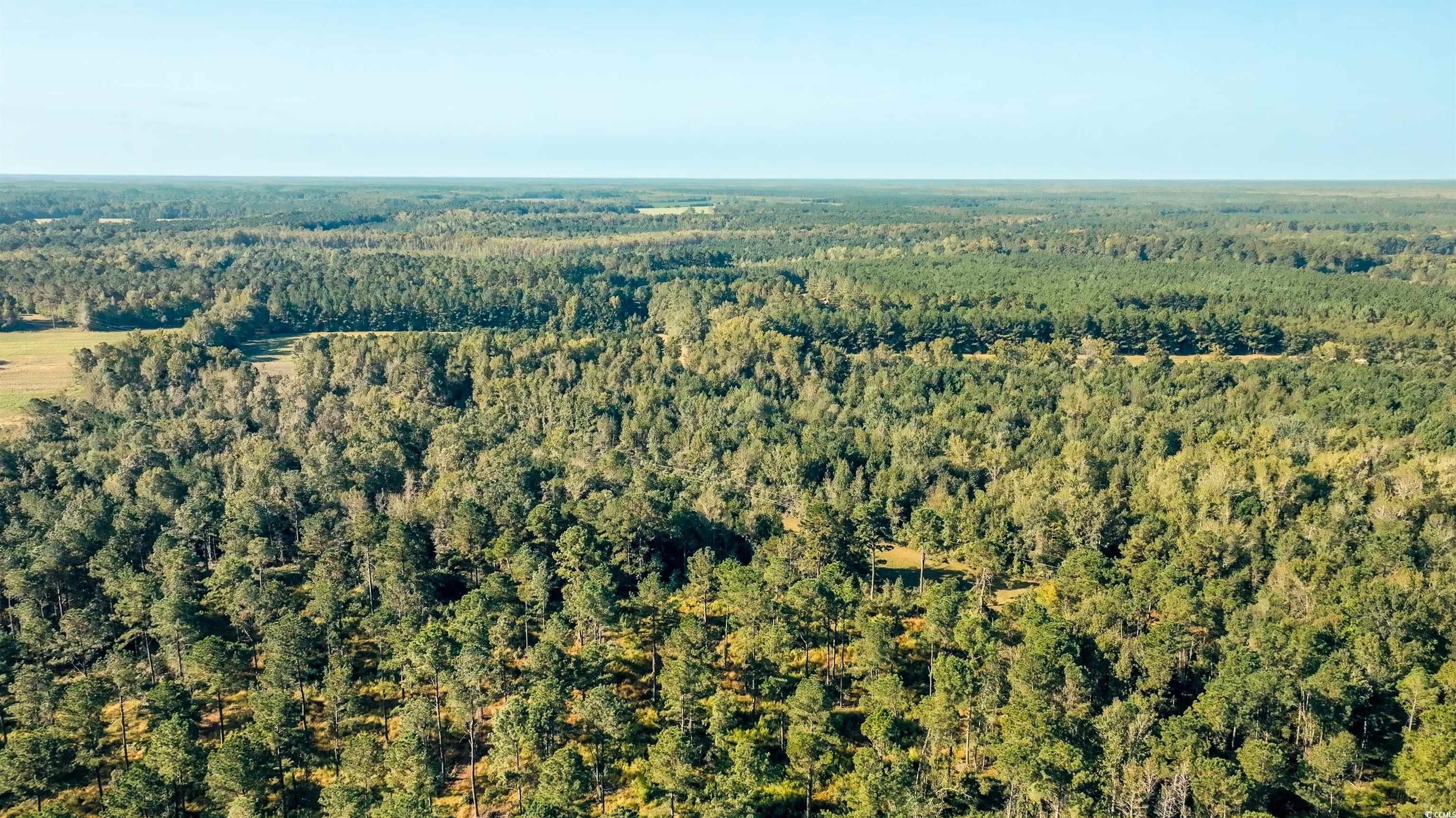 Tbd Tbd Terrell's Bay Road Marion, SC 29571 - Photo 2 of 8 View of property location