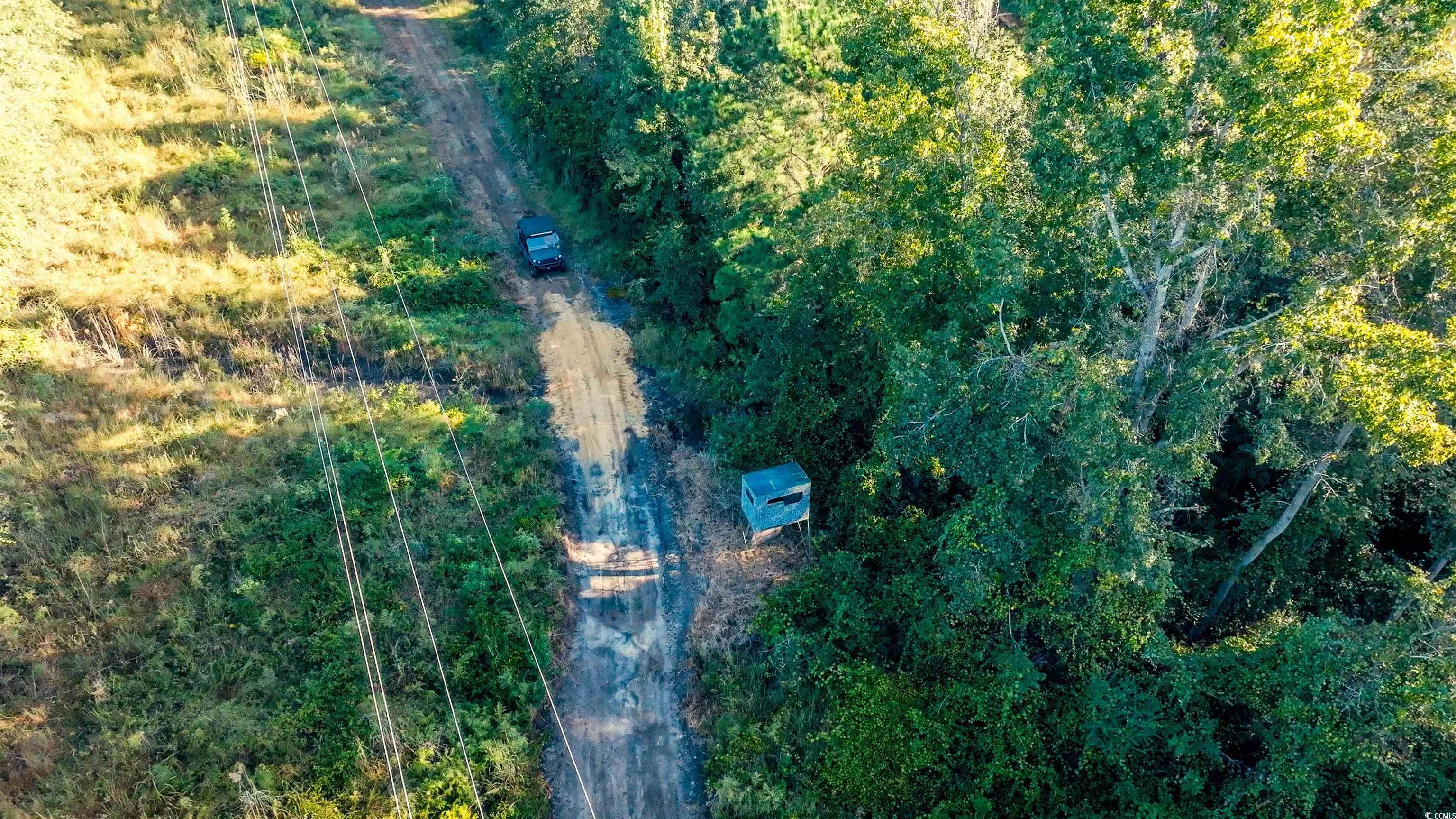 Tbd Tbd Terrell's Bay Road Marion, SC 29571 - Photo 4 of 8 Aerial view
