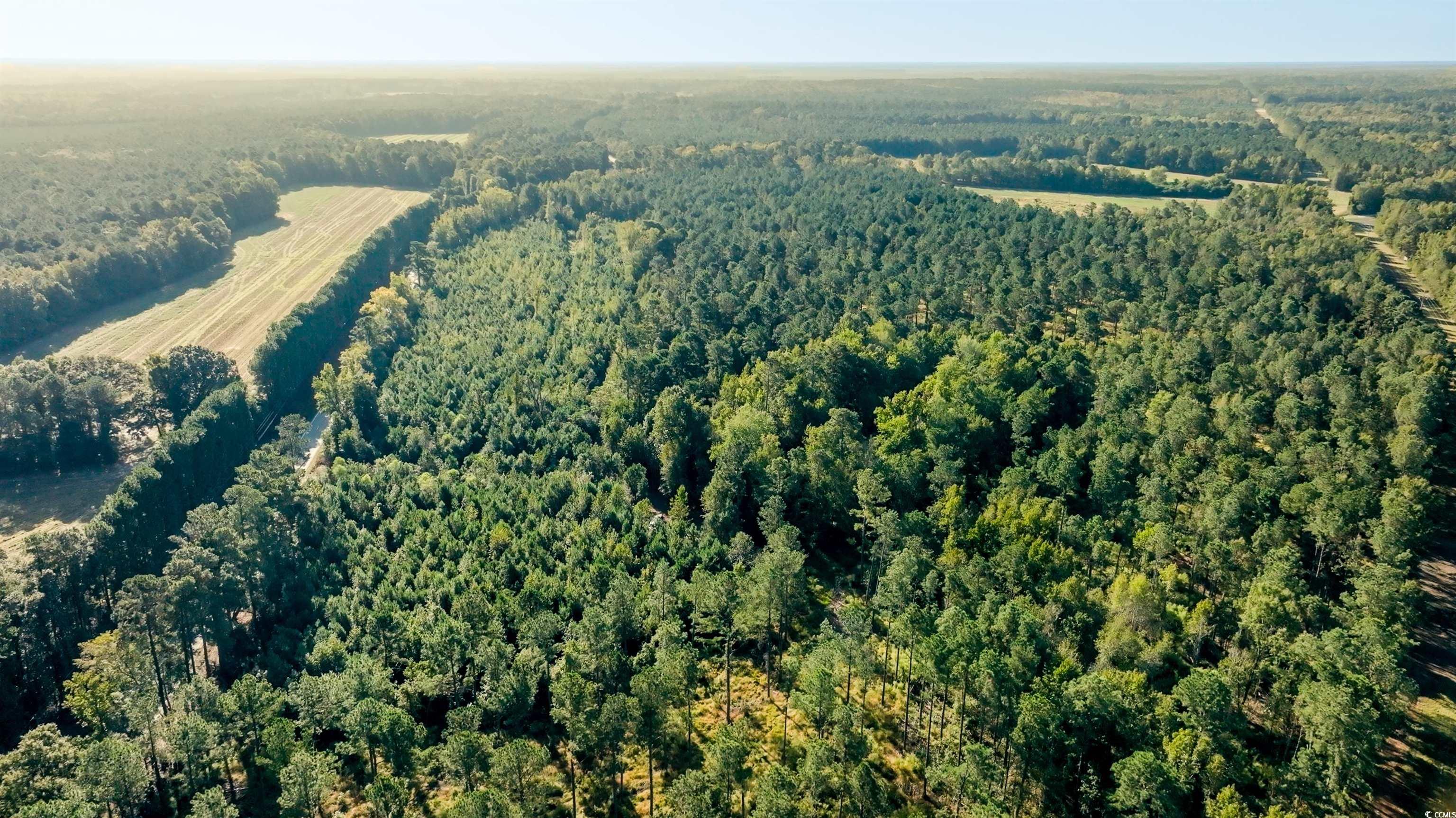 Tbd Tbd Terrell's Bay Road Marion, SC 29571 - Photo 5 of 8 Aerial view of property's location with a forest