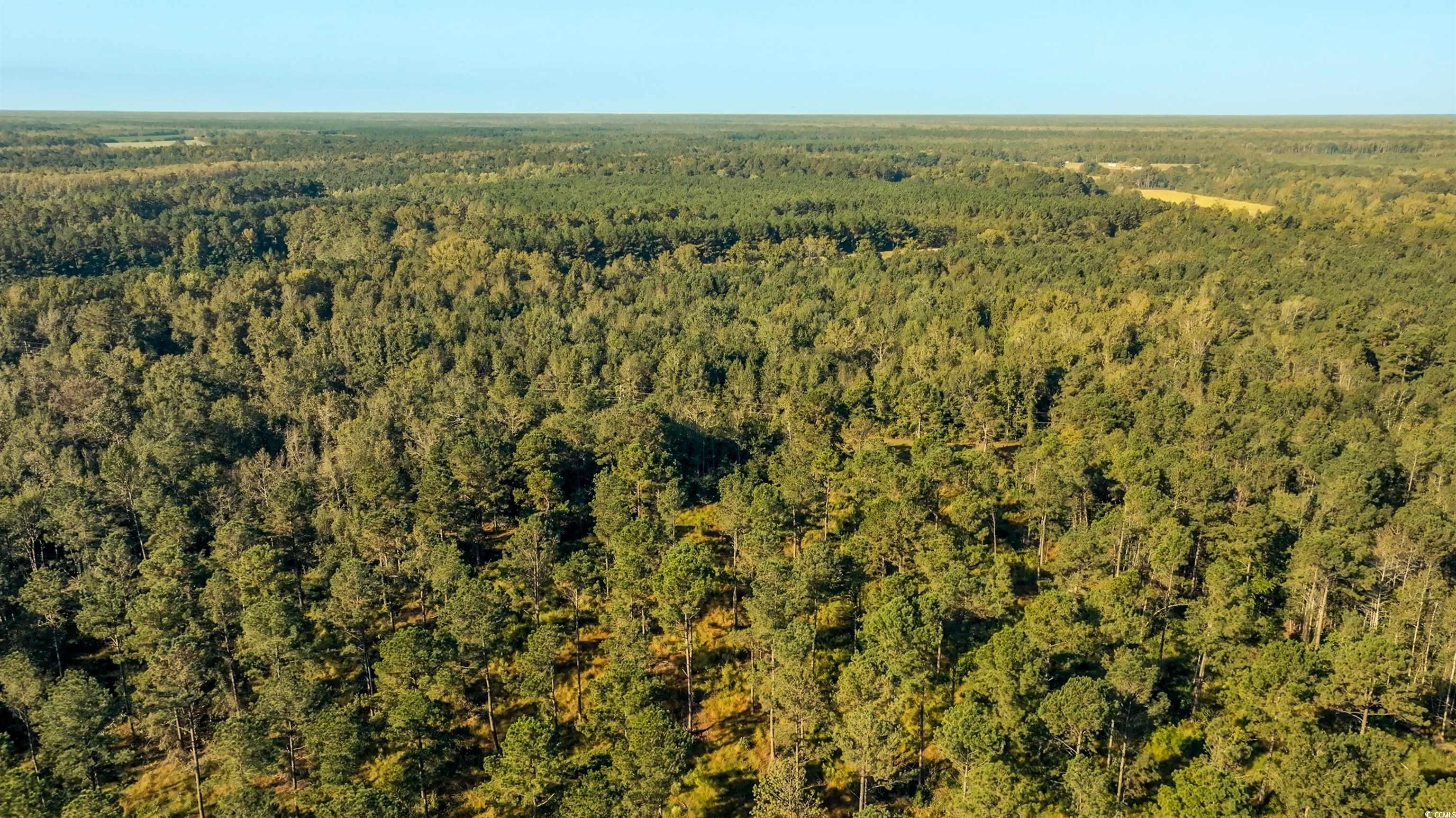 Tbd Tbd Terrell's Bay Road Marion, SC 29571 - Photo 7 of 8 Aerial overview of property's location