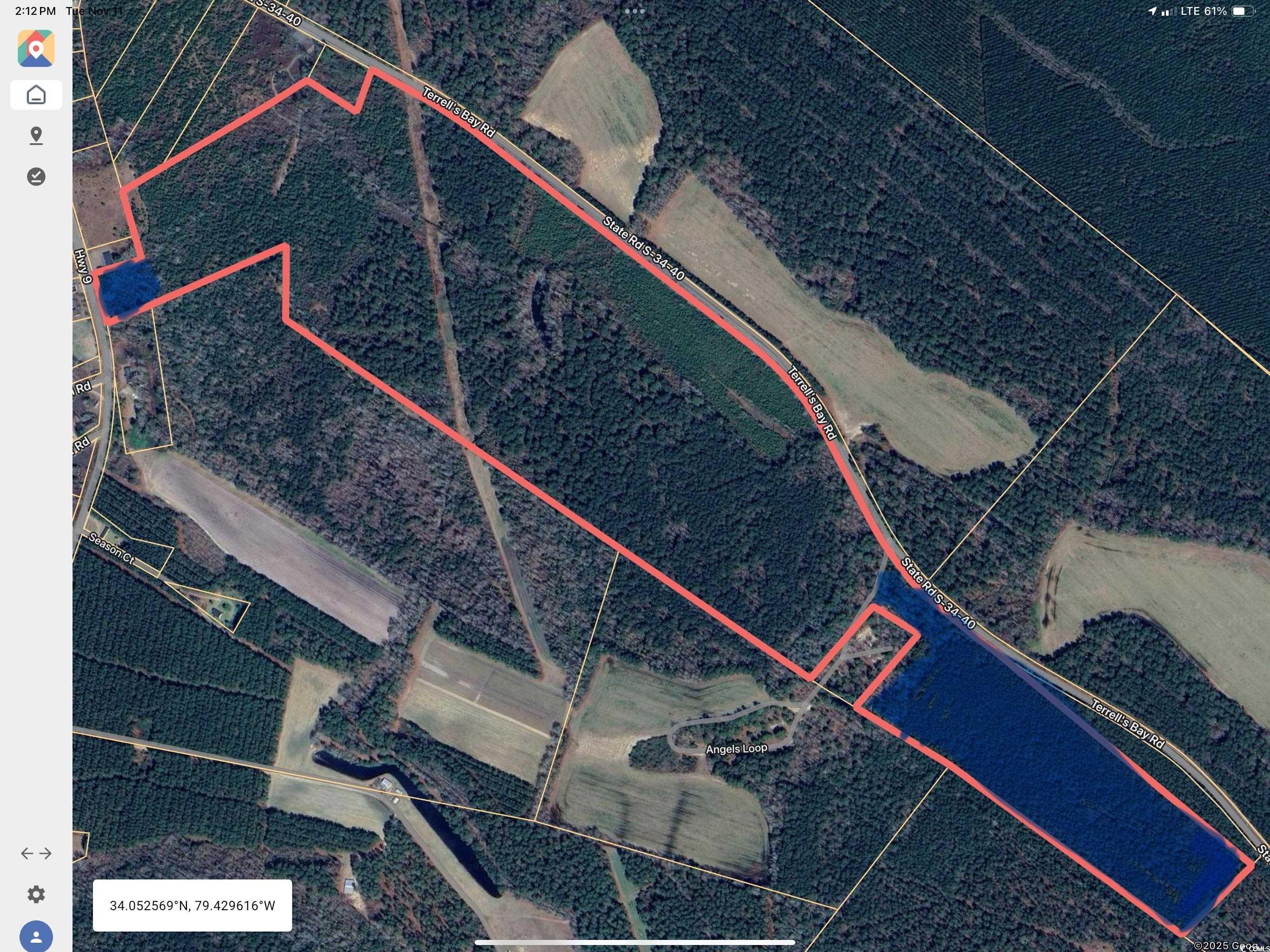 Tbd Tbd Terrell's Bay Road Marion, SC 29571 - Photo 8 of 8 Shaded Blue areas NOT included in the sale.