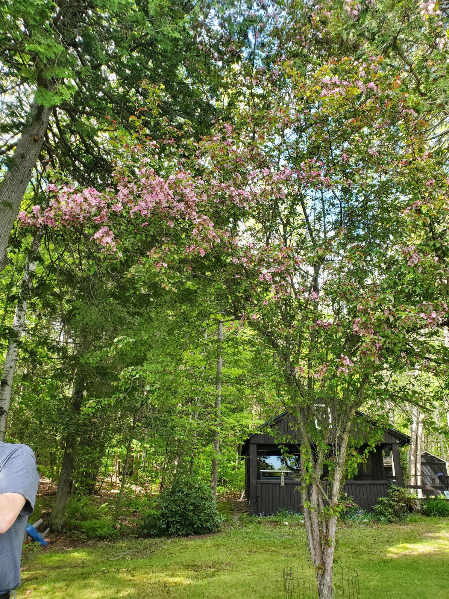 31 Swan Lane Dexter, ME 04930 - Photo 101 of 102 20250526_150012