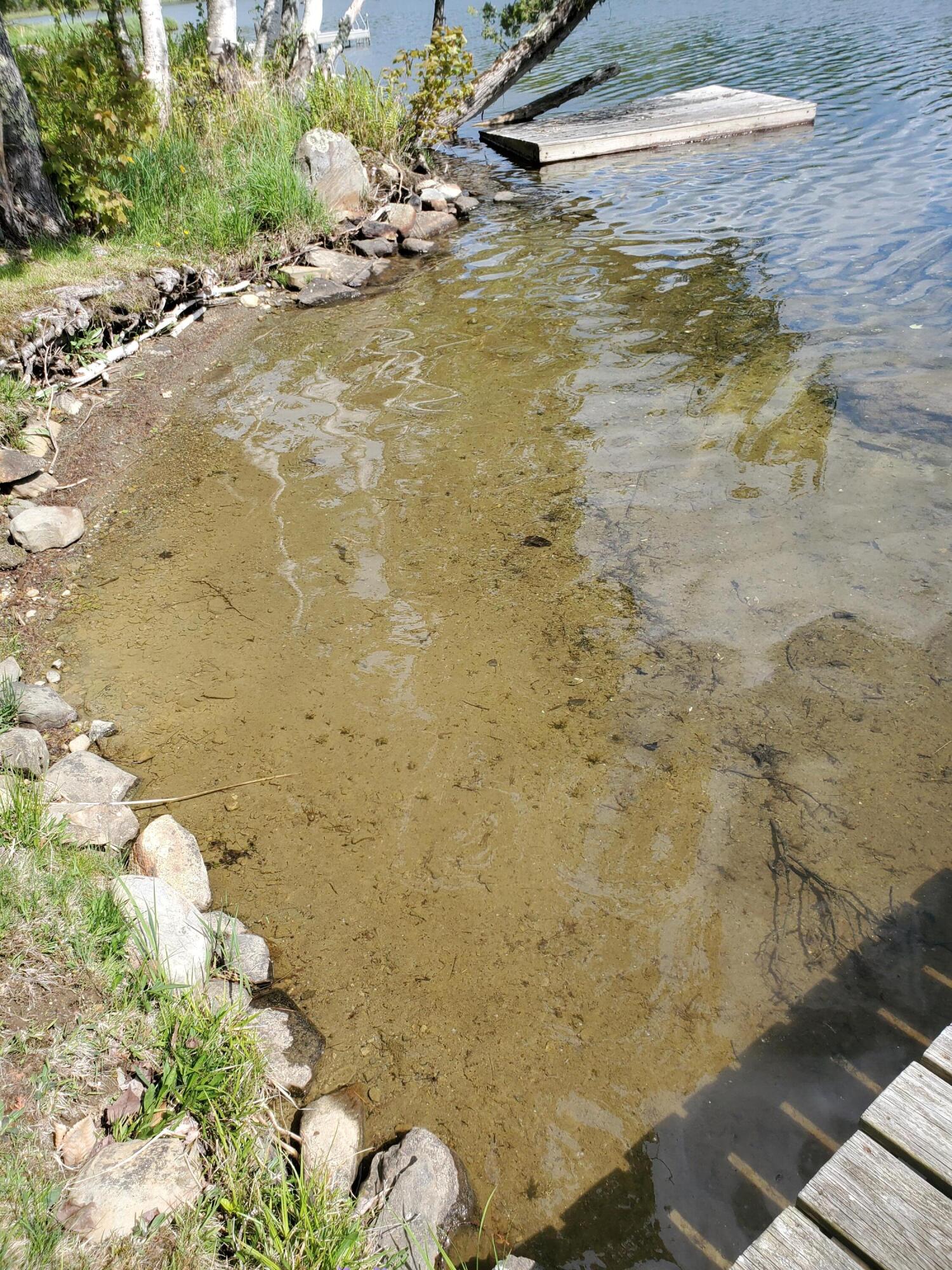 31 Swan Lane Dexter, ME 04930 - Photo 102 of 102 20250526_150121