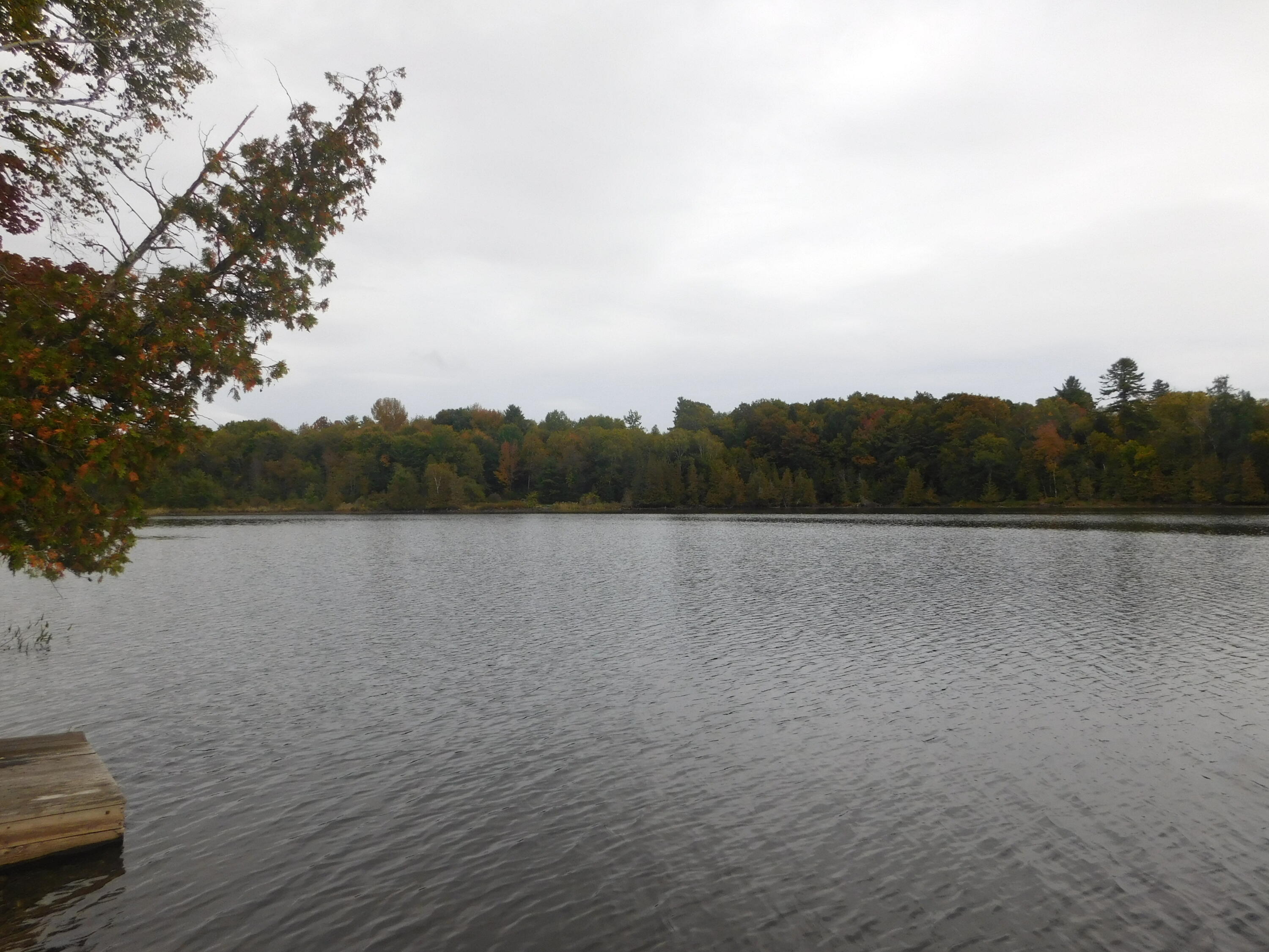 31 Swan Lane Dexter, ME 04930 - Photo 24 of 102 DSCN1036