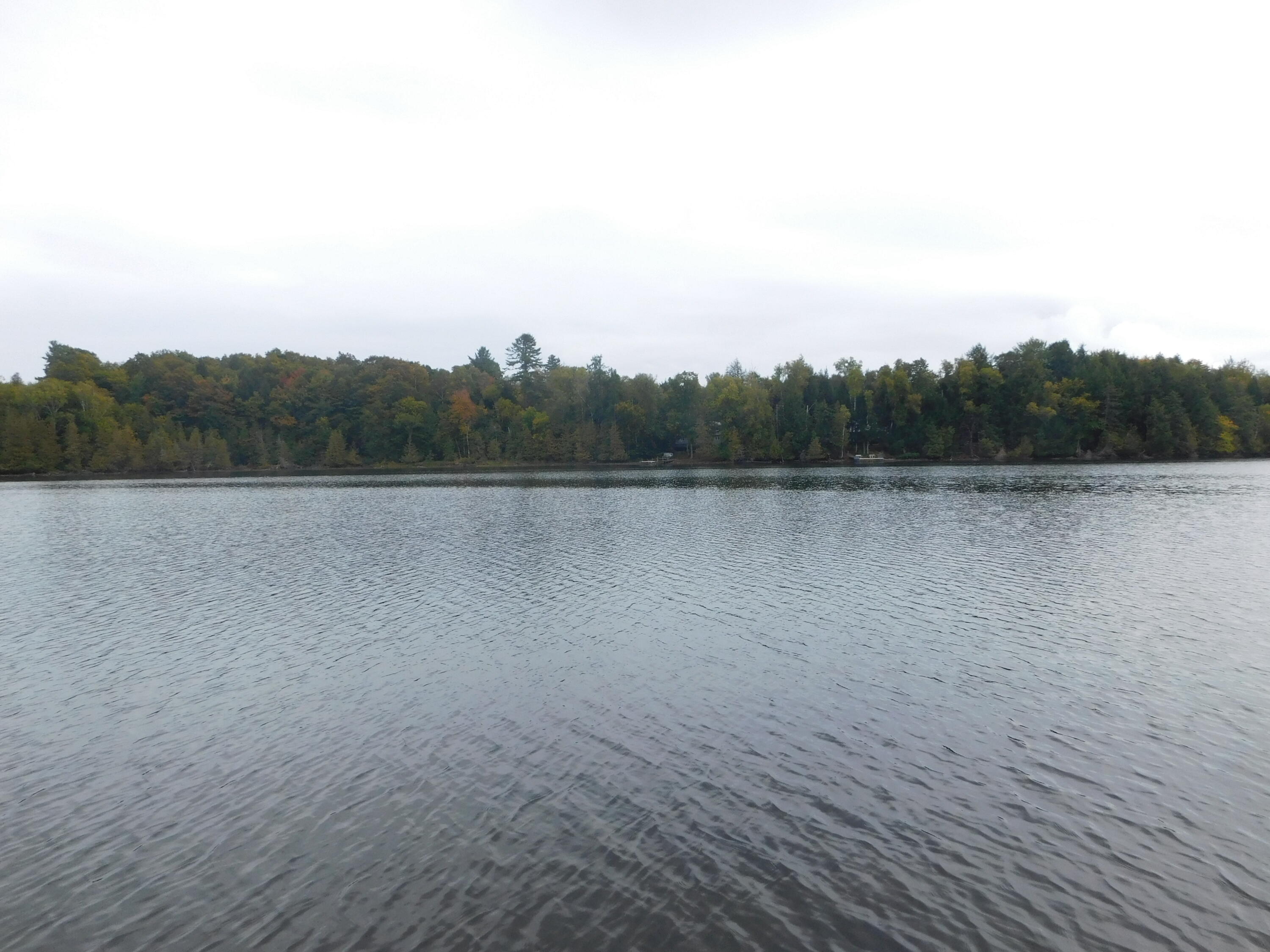 31 Swan Lane Dexter, ME 04930 - Photo 25 of 102 DSCN1037