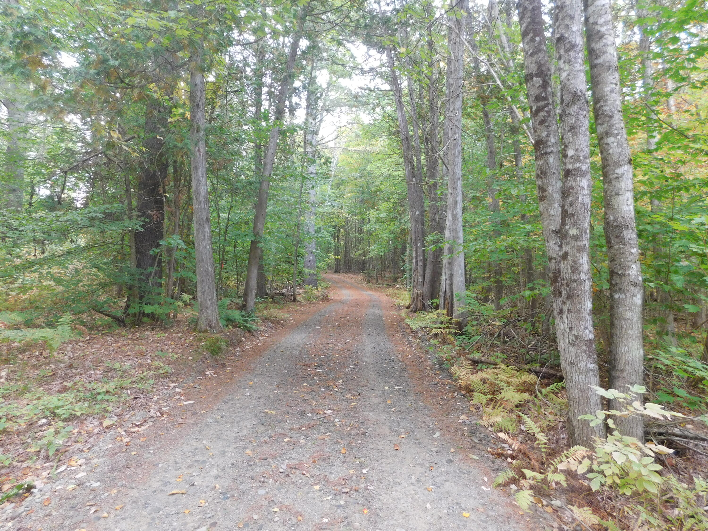 31 Swan Lane Dexter, ME 04930 - Photo 87 of 102 DSCN1118