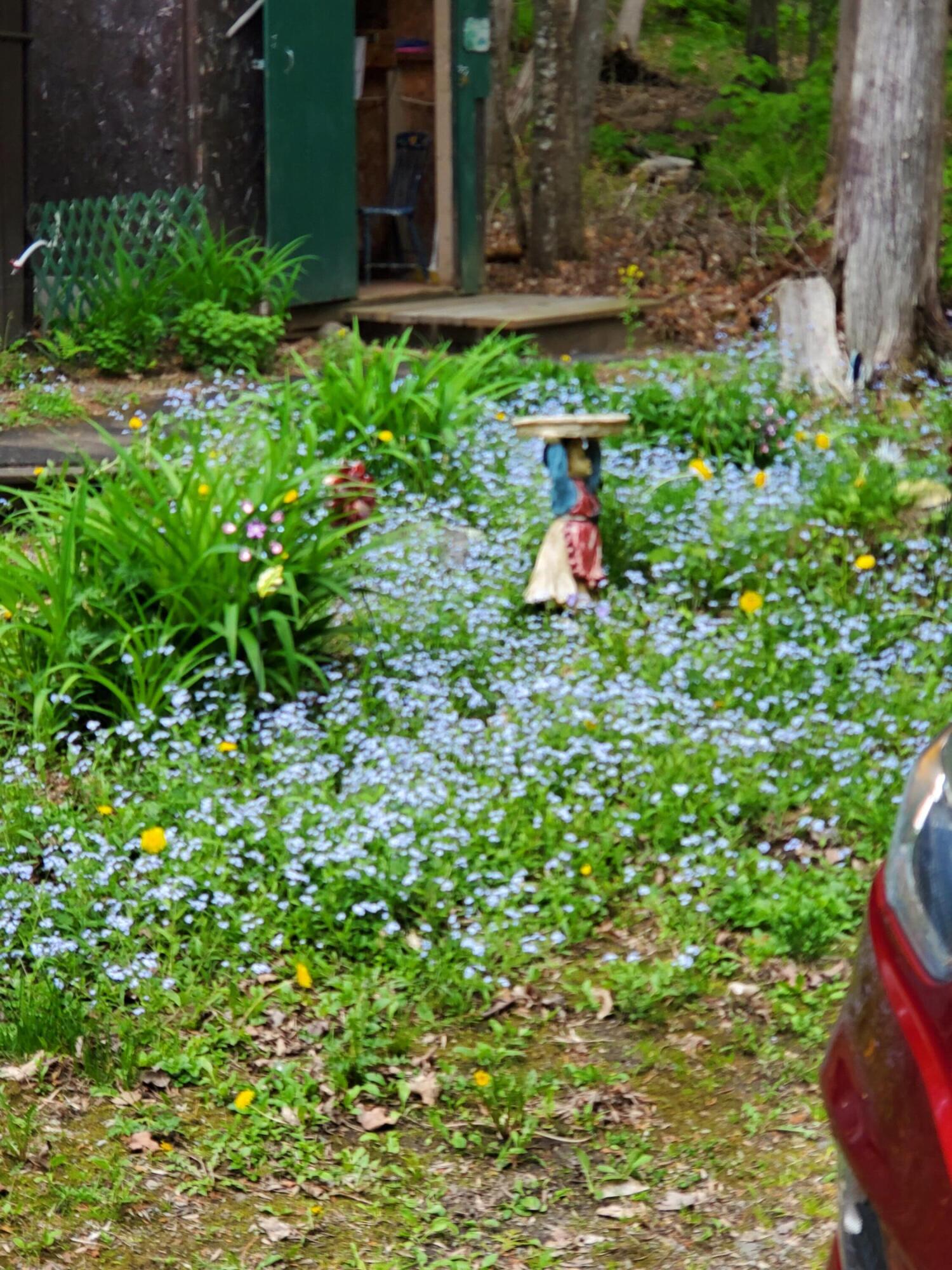 31 Swan Lane Dexter, ME 04930 - Photo 96 of 102 20250526_145430