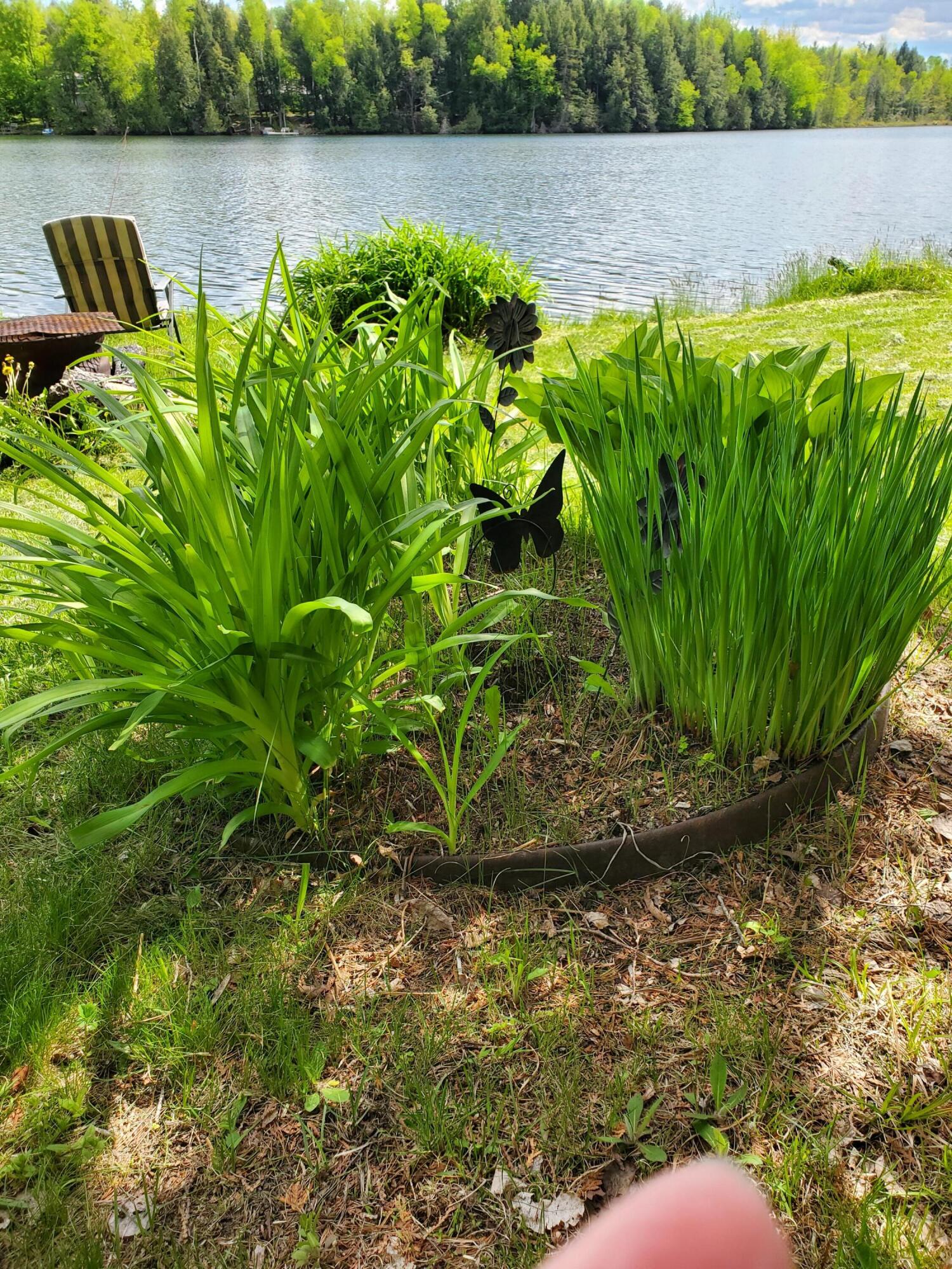 31 Swan Lane Dexter, ME 04930 - Photo 100 of 102 20250526_145930