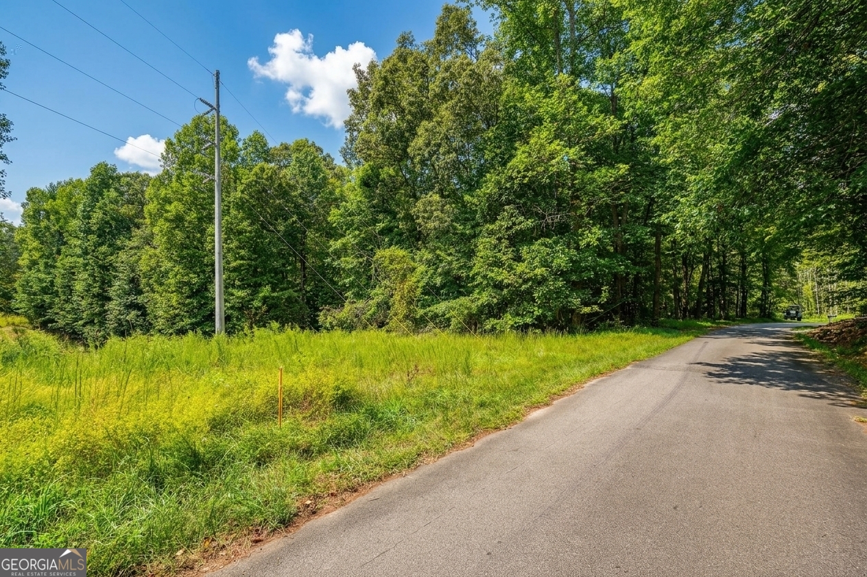 380 Guy Wimpy Road, Unit LOT 2 Dahlonega, GA 30533 - Photo 11 of 23