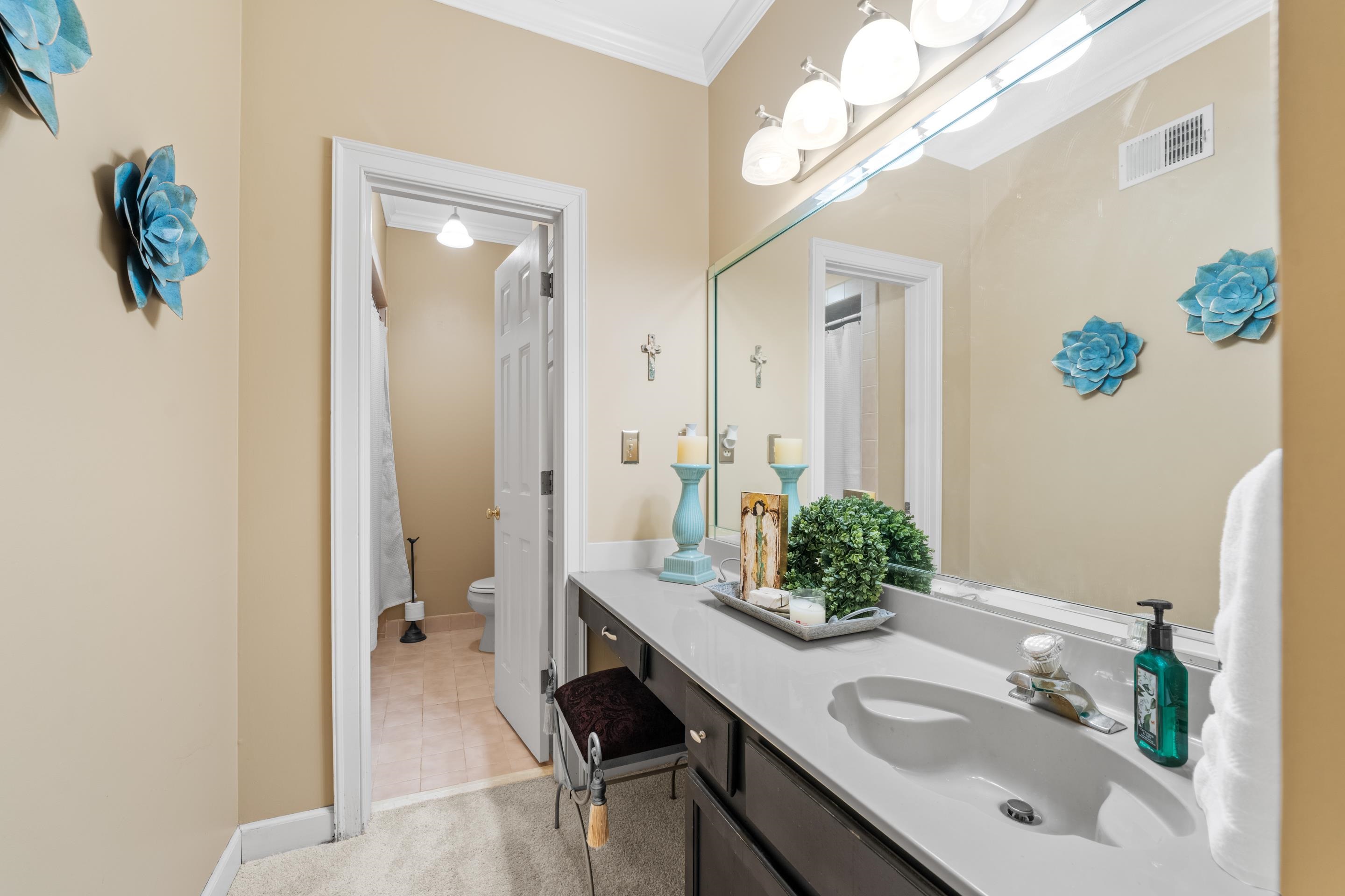 3430 Shea Road Collierville, TN 38017 - Photo 28 of 40 a bathroom with a sink and a mirror with potted plant