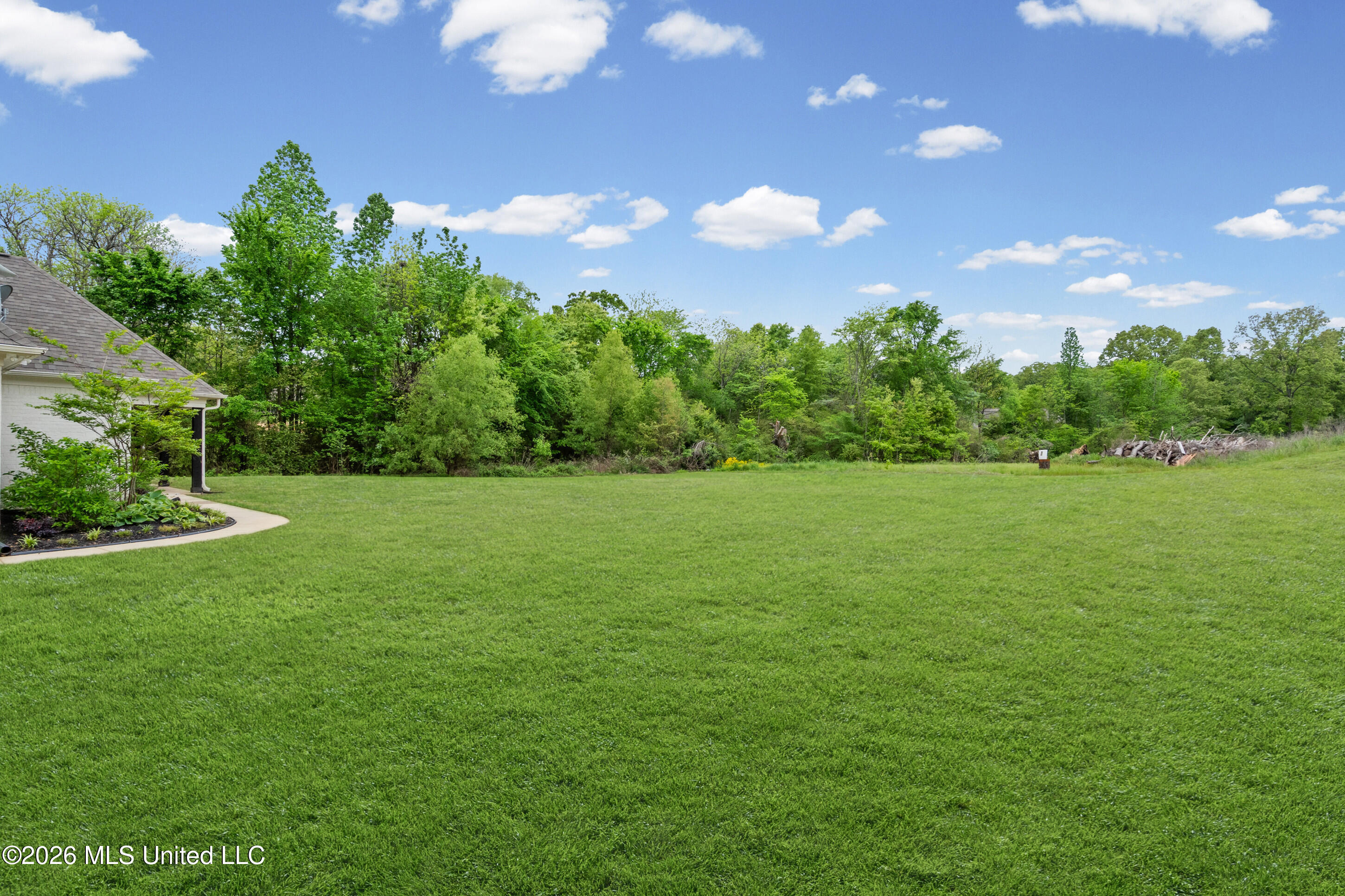 4112 Bright Road Hernando, MS 38632 - Photo 35 of 41 Backyard