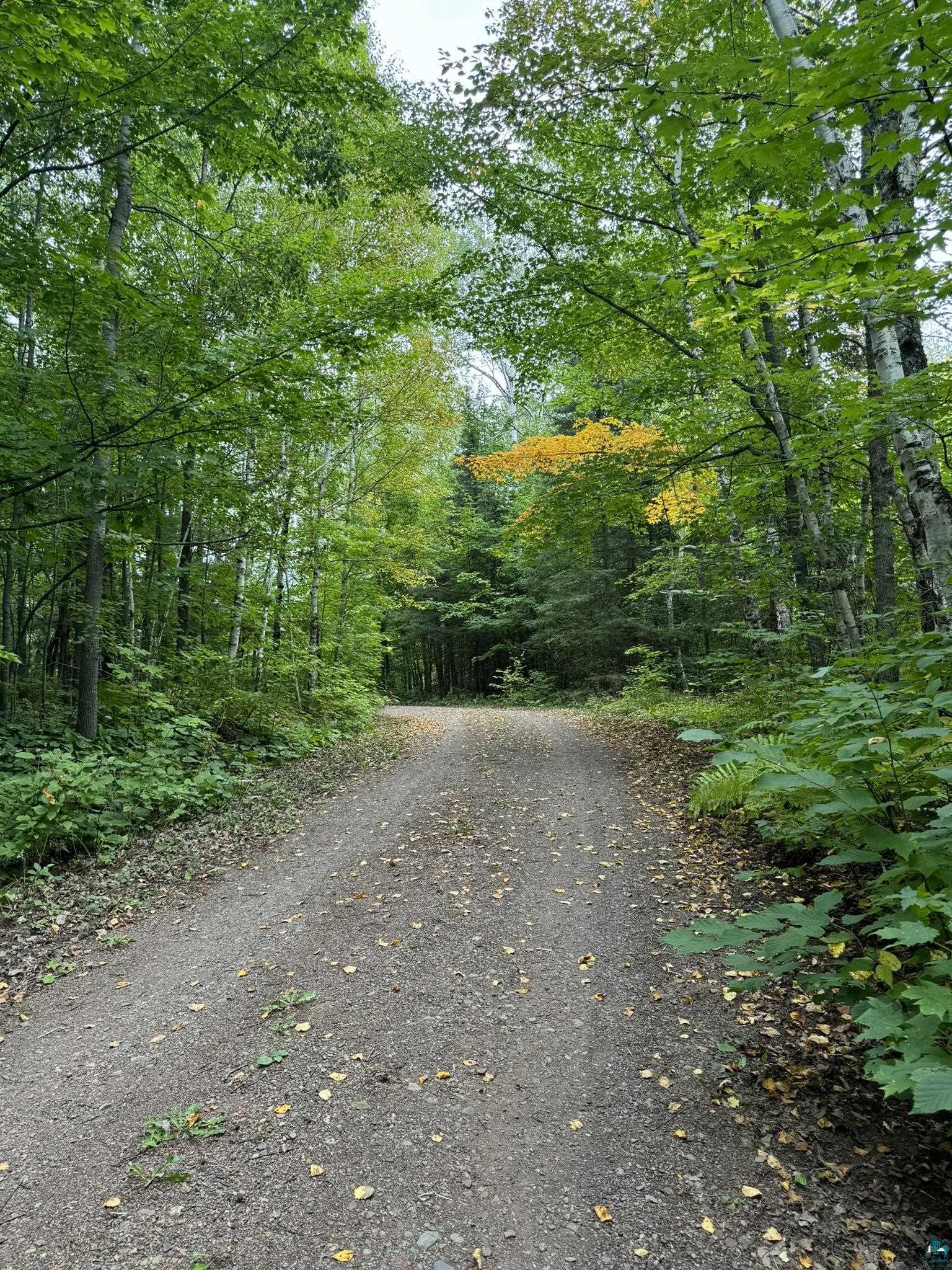 2196 Holm Road Two Harbors, MN 55616 - Photo 4 of 35