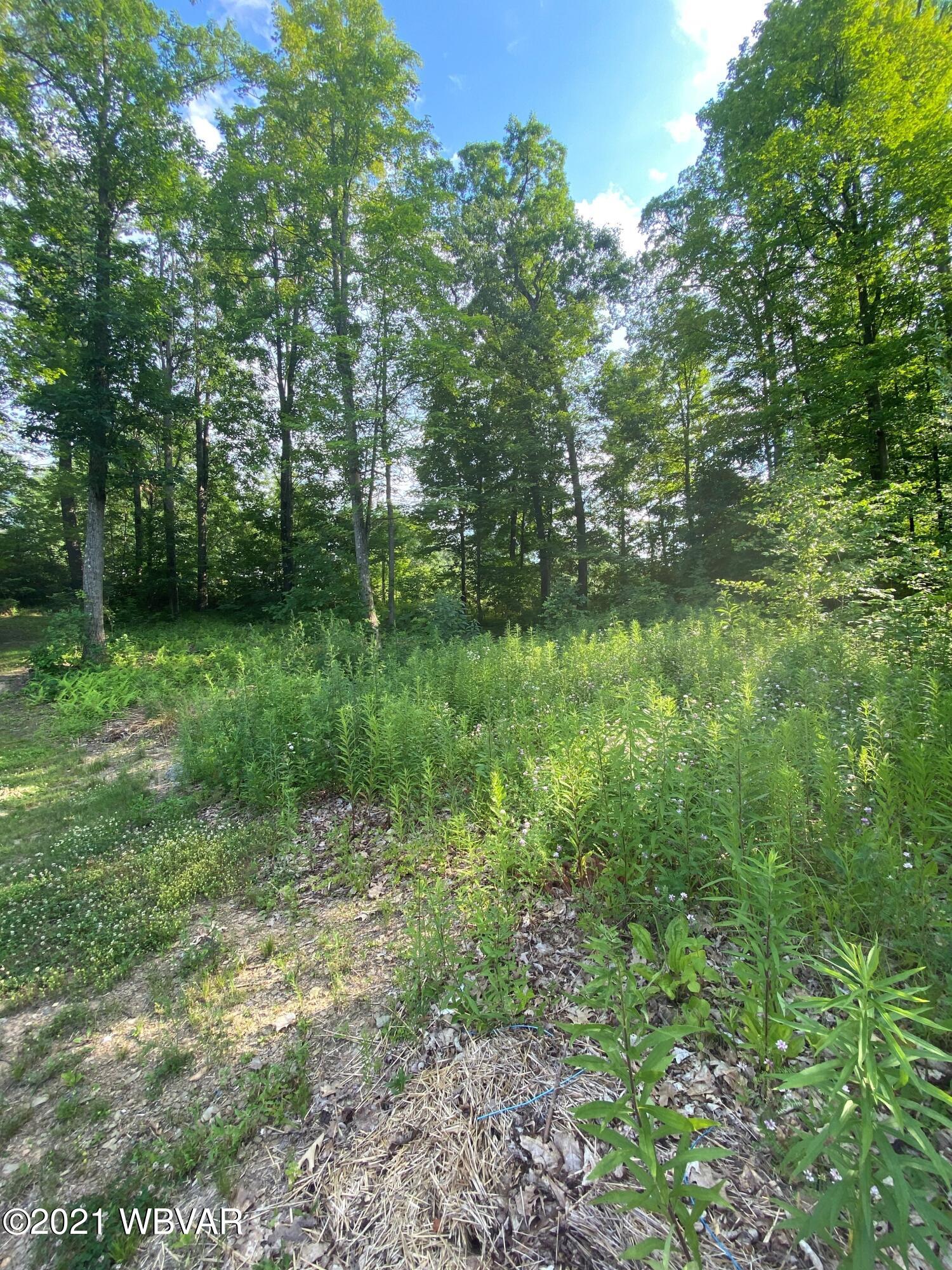 99 Oak Run Road Lock Haven, PA 17745 - Photo 1 of 3 Gallery Image 1