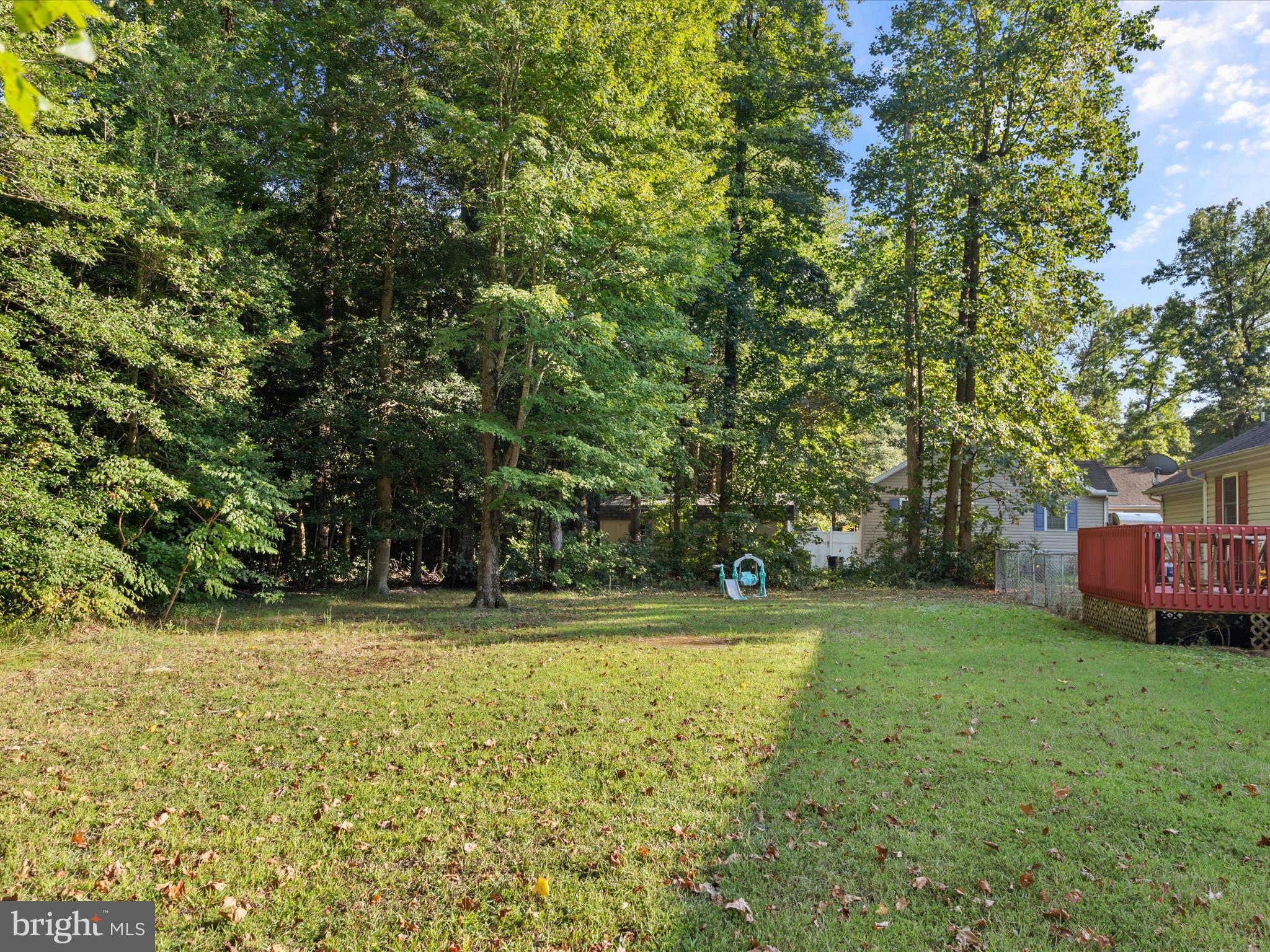 9365 Stage Road Delmar, MD 21875 - Photo 29 of 34 Rear Yard