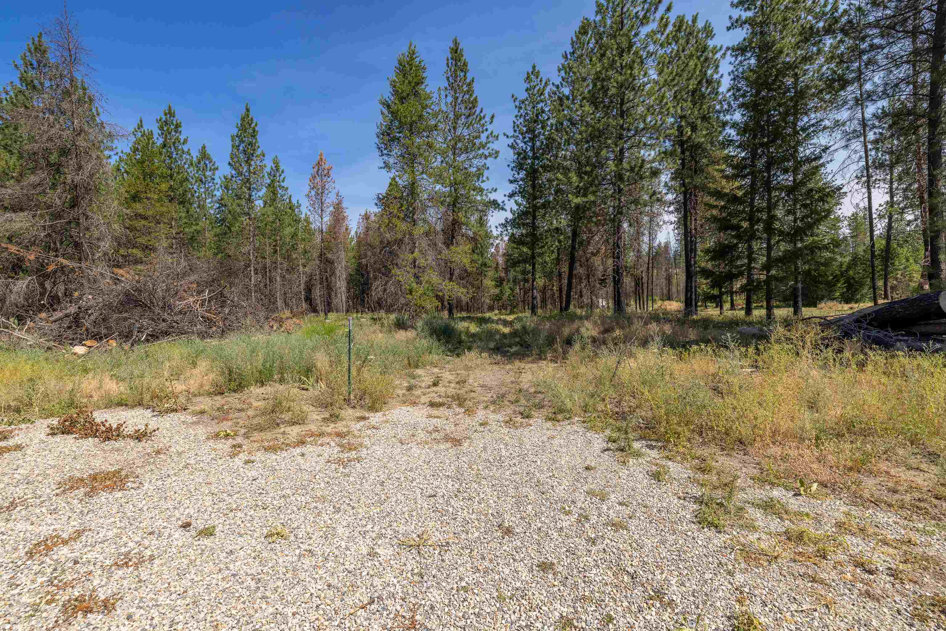 12907 East Nelson Road Elk, WA 99009 - Photo 41 of 44