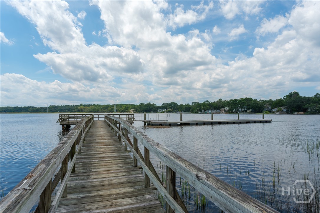 1 Sea Lane Savannah, GA 31419 - Photo 43 of 48 Community Dock