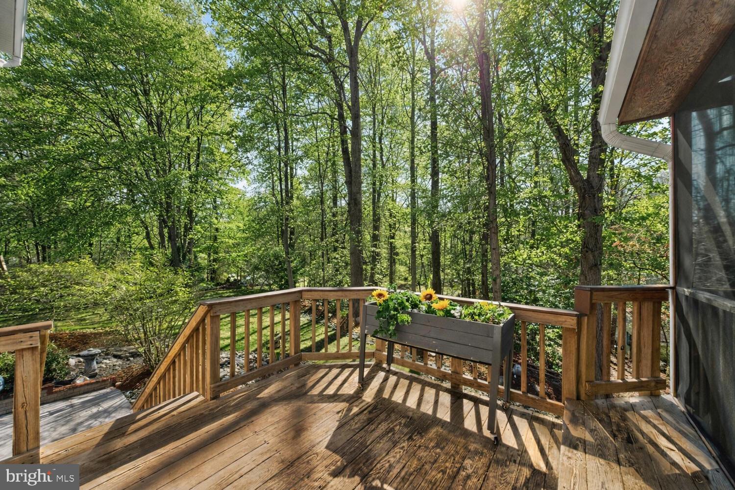 7923 Donegal Lane Springfield, VA 22153 - Photo 44 of 46 Deck