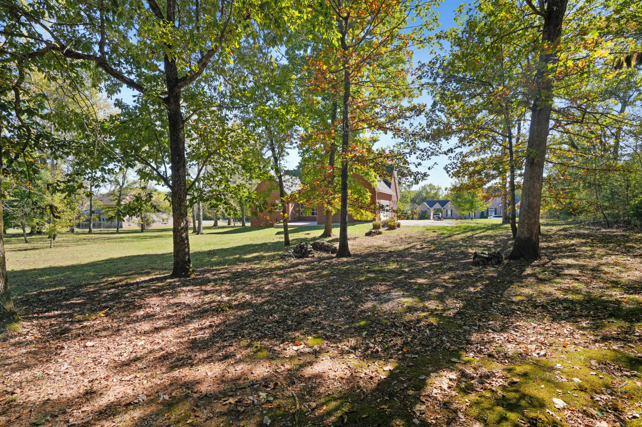 1124 Friendswood Lane Christiana, TN 37037 - Photo 7 of 34 a view of a tree in a yard