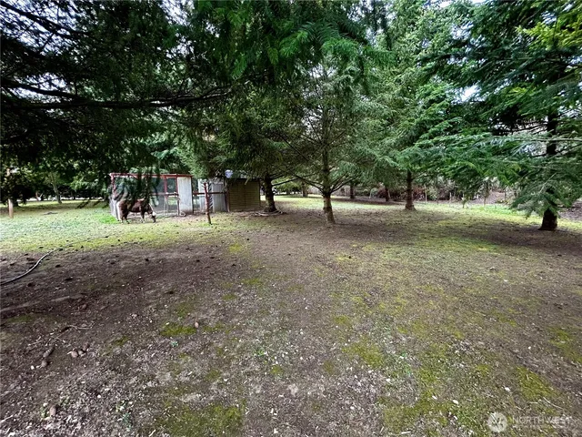 a view of a yard with a tree