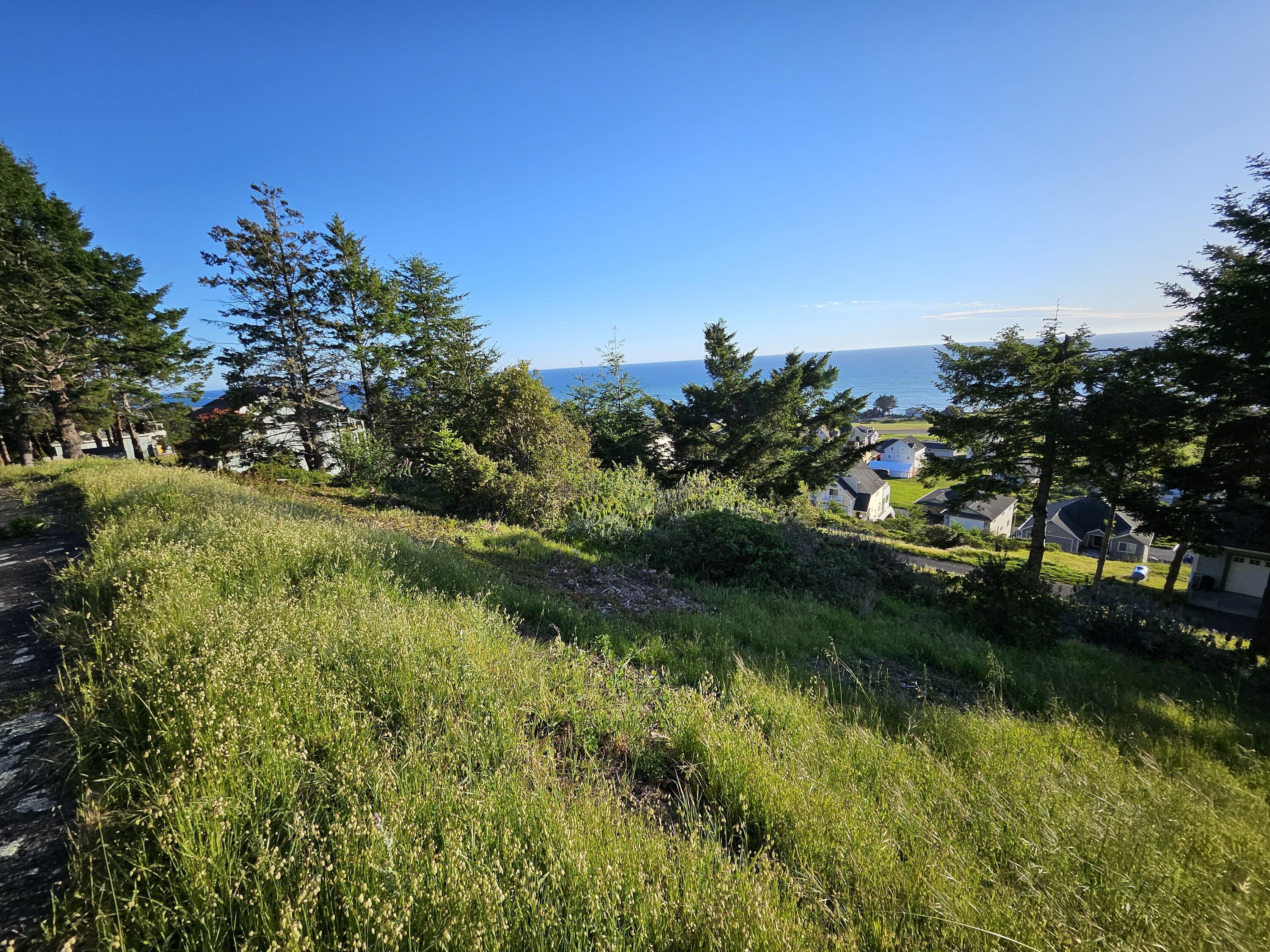 72 Shaker Road Whitethorn, CA 95589 - Photo 1 of 10