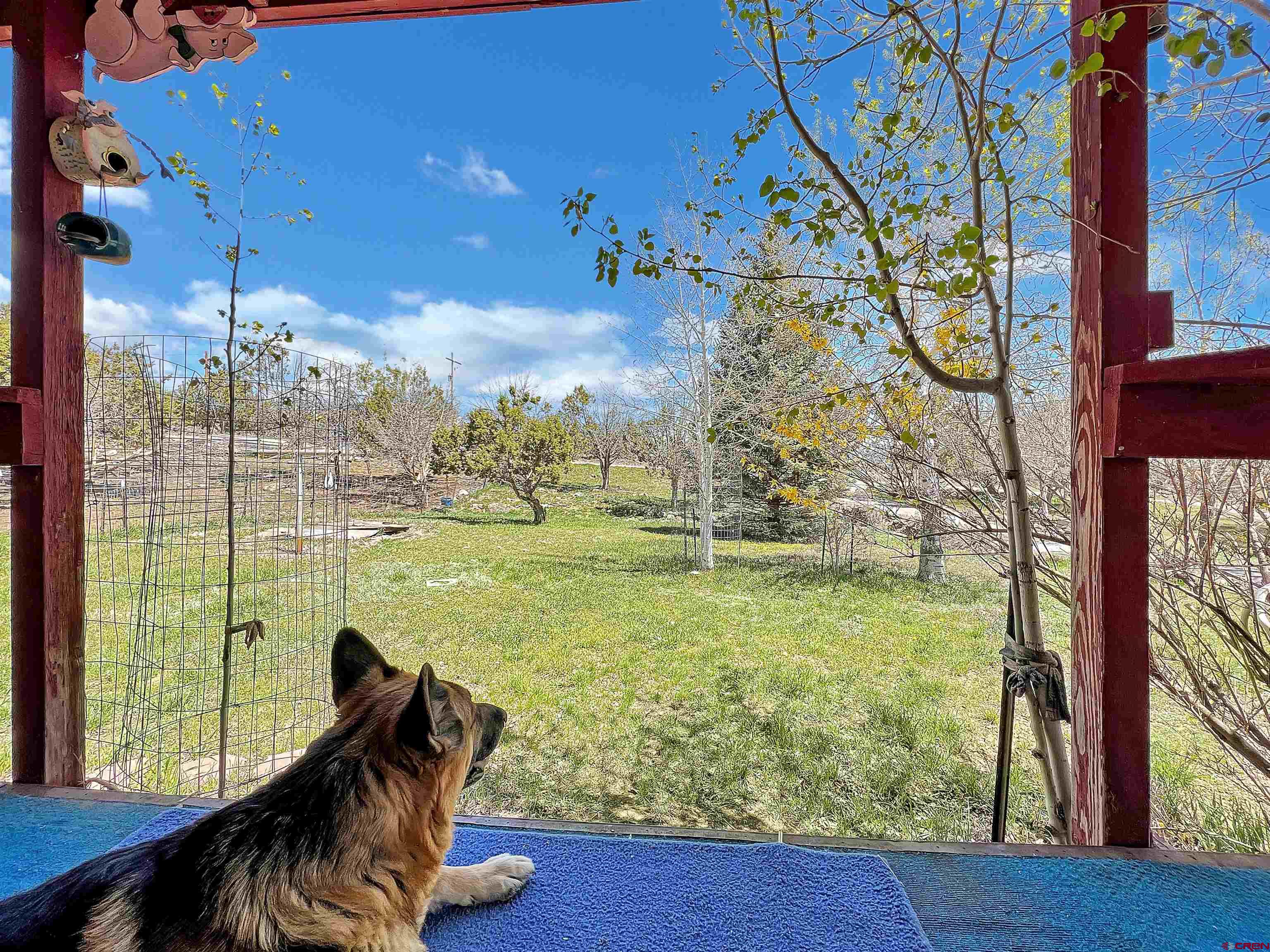 17081 2550th Road Cedaredge, CO 81413 - Photo 4 of 21 a view of a garden
