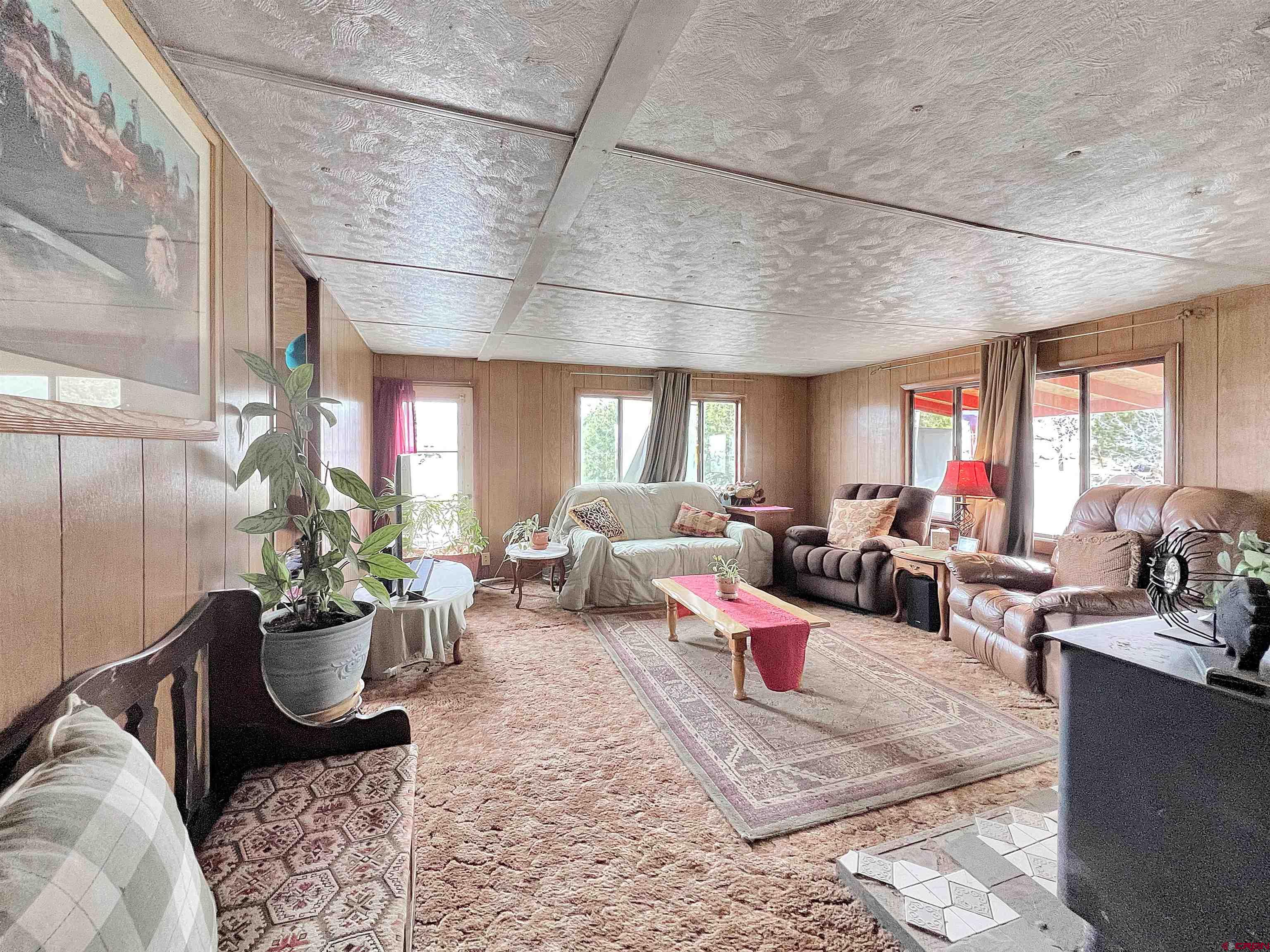17081 2550th Road Cedaredge, CO 81413 - Photo 6 of 21 a living room with furniture or couch and a potted plant