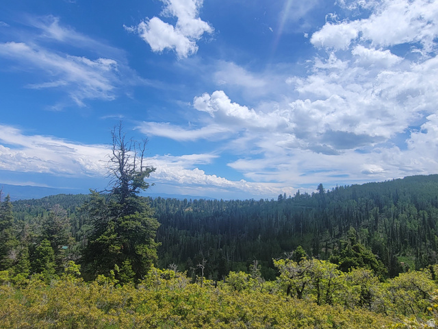 1920 Elk Road, Unit 78 Coalville, UT 84017 - Photo 10 of 16 Expansive natural landscape featuring a dense forest of evergreen trees and varied deciduous foliage under a broad sky with scattered clouds